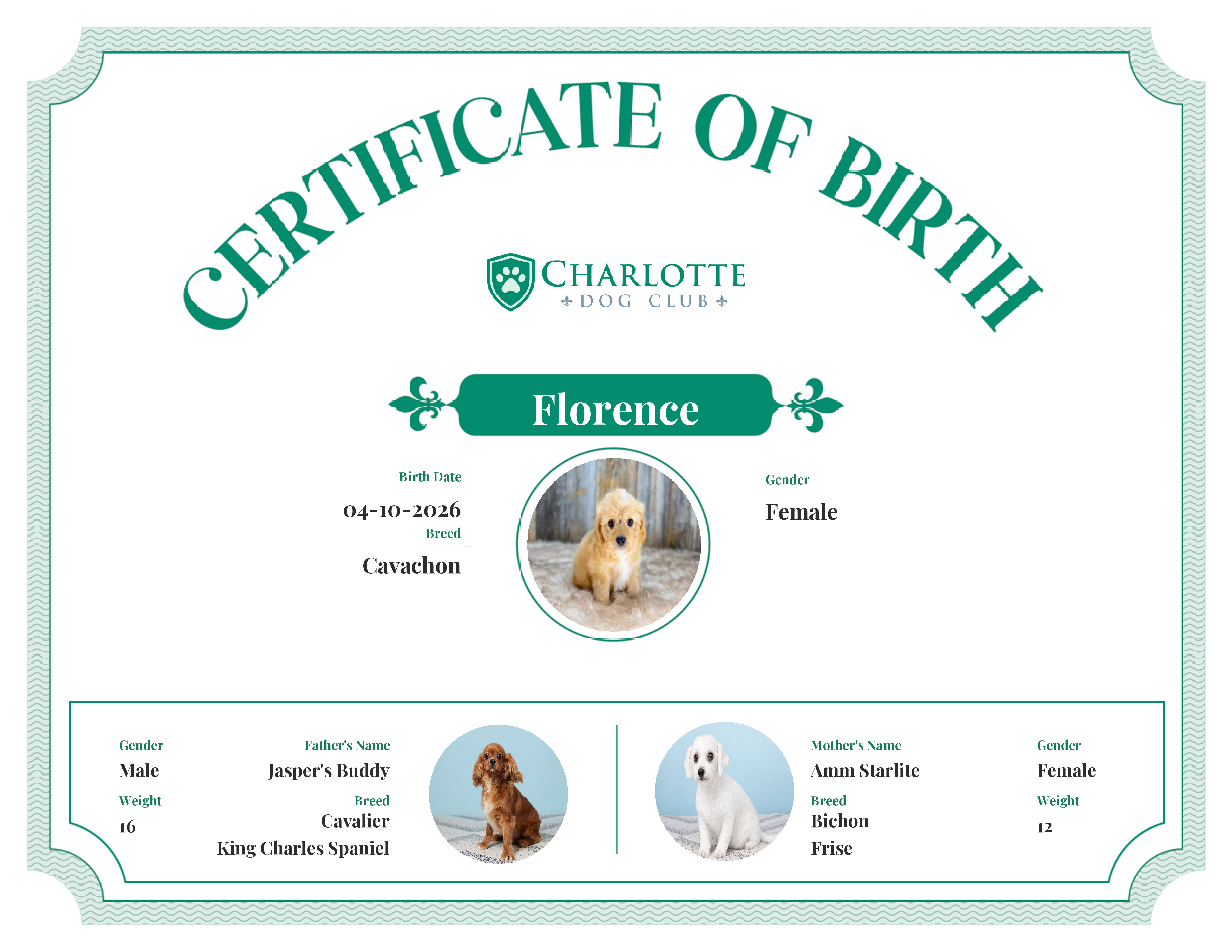 Florence's Birth Certificate