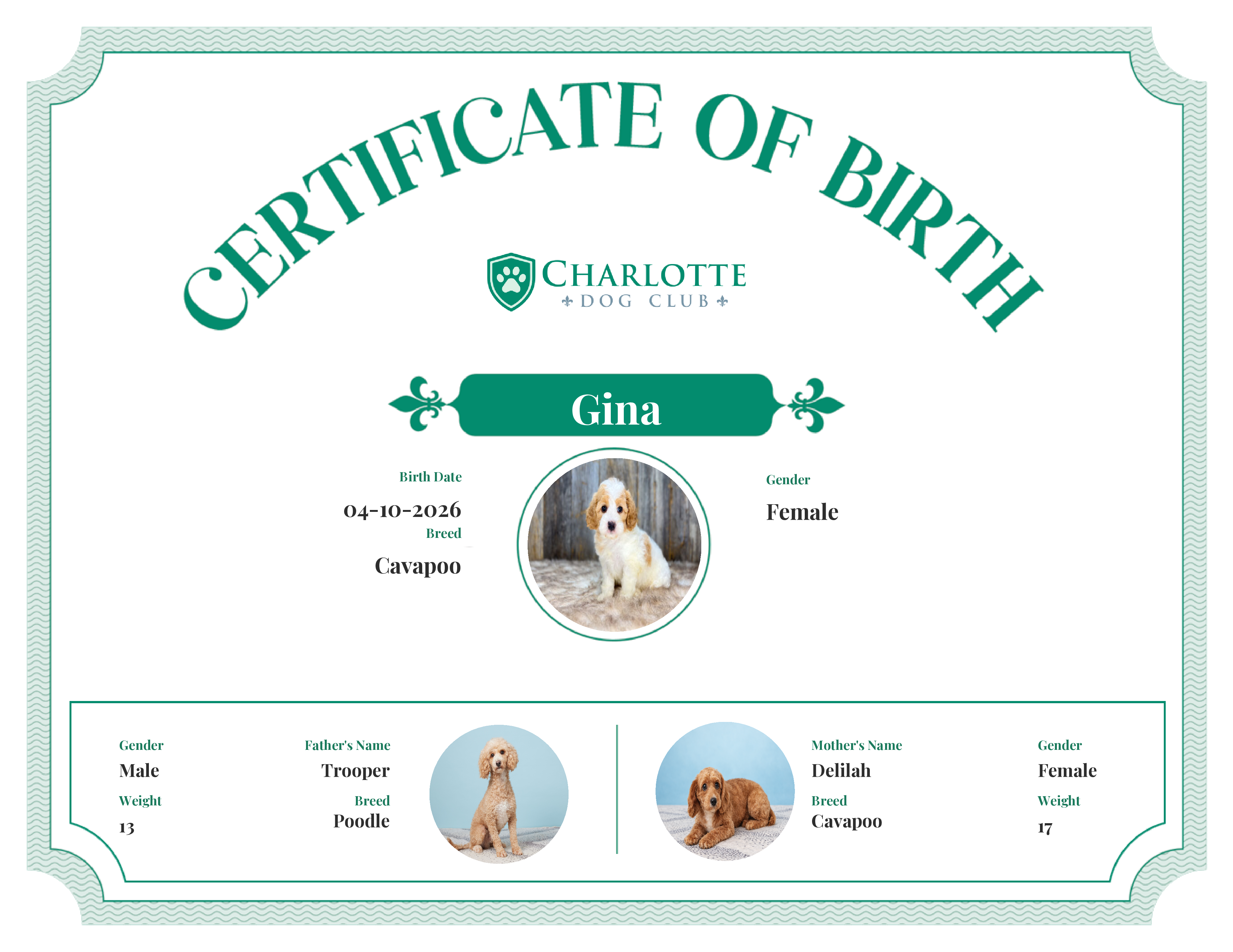 Gina's Birth Certificate