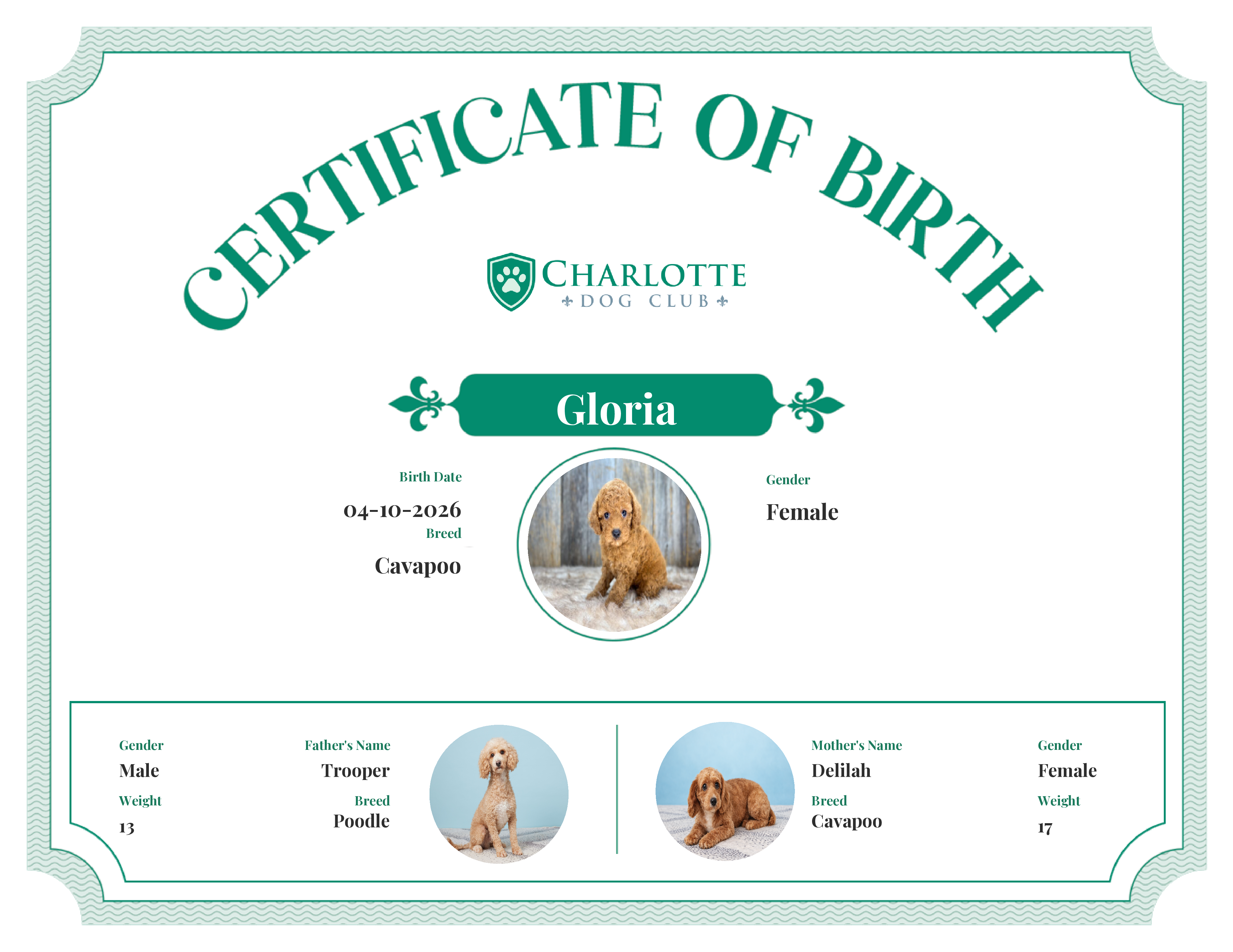 Gloria's Birth Certificate
