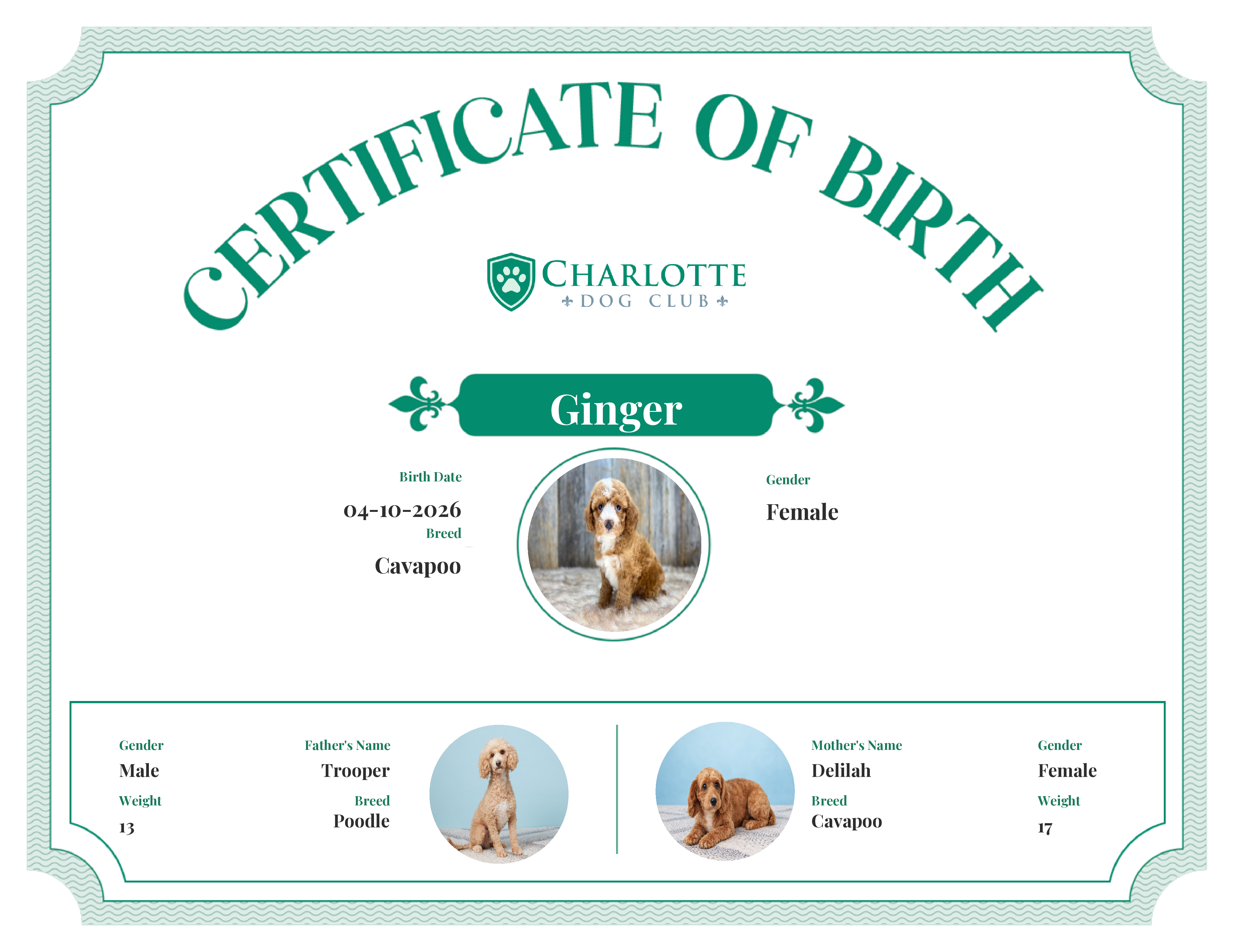 Ginger's Birth Certificate