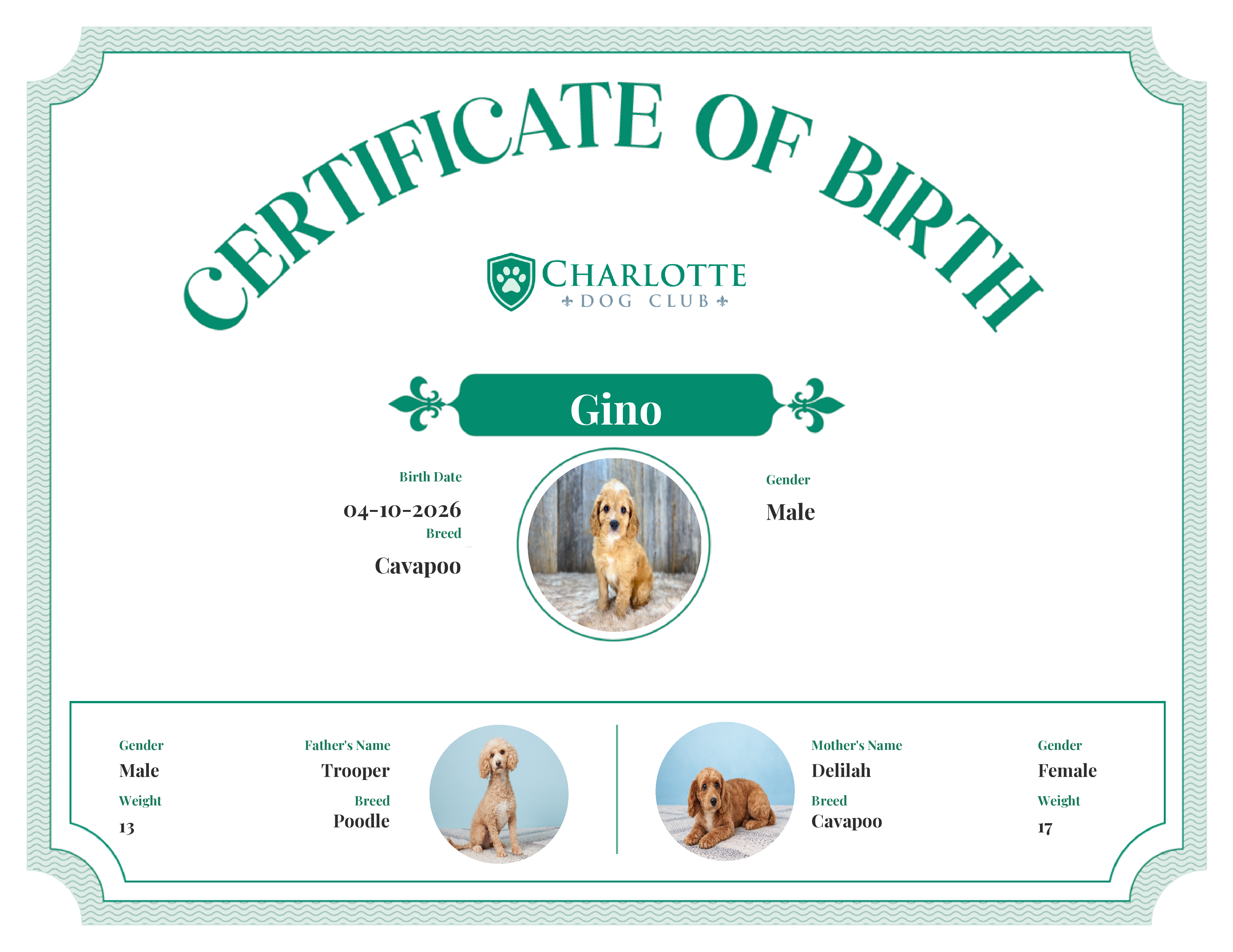 Gino's Birth Certificate