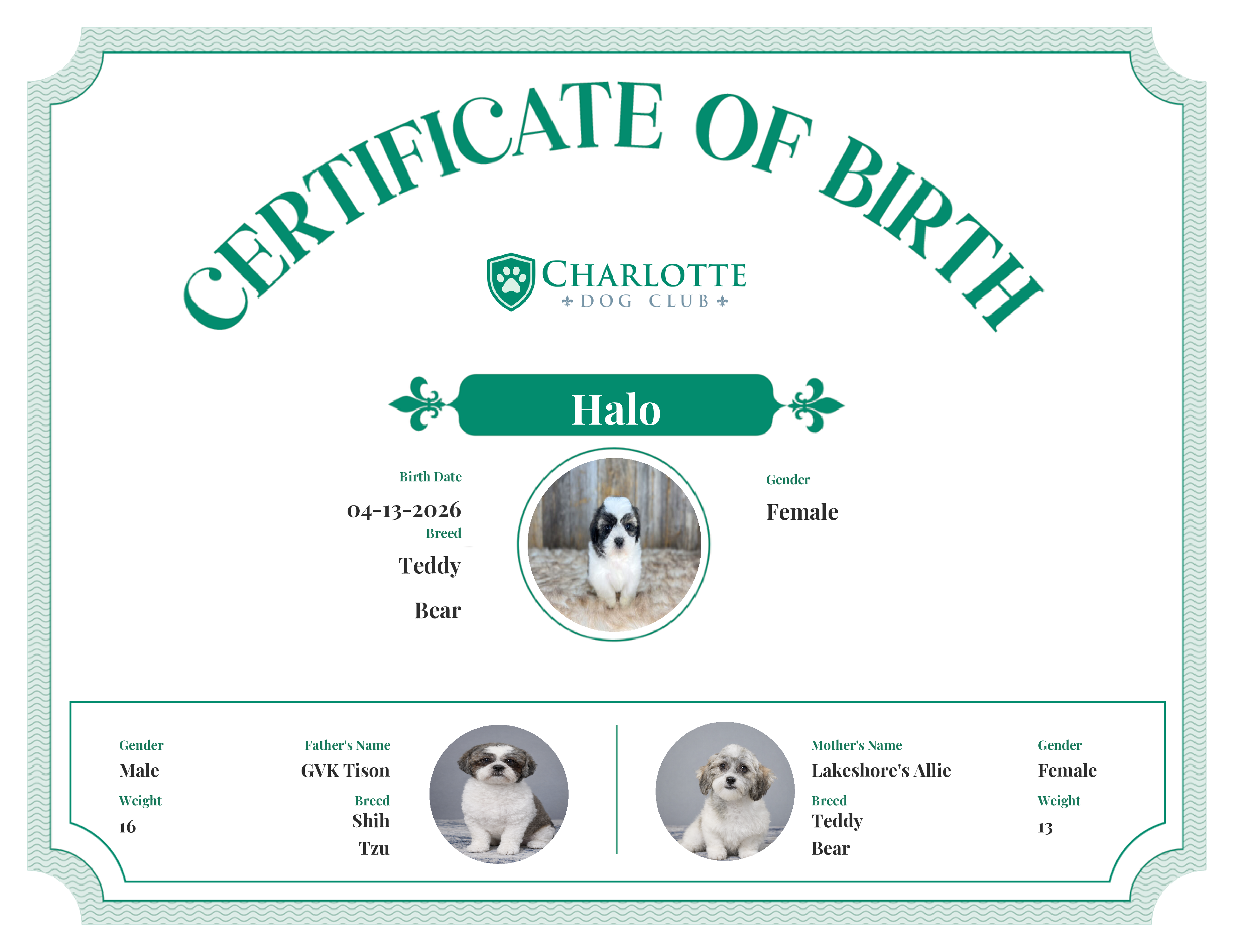Halo's Birth Certificate