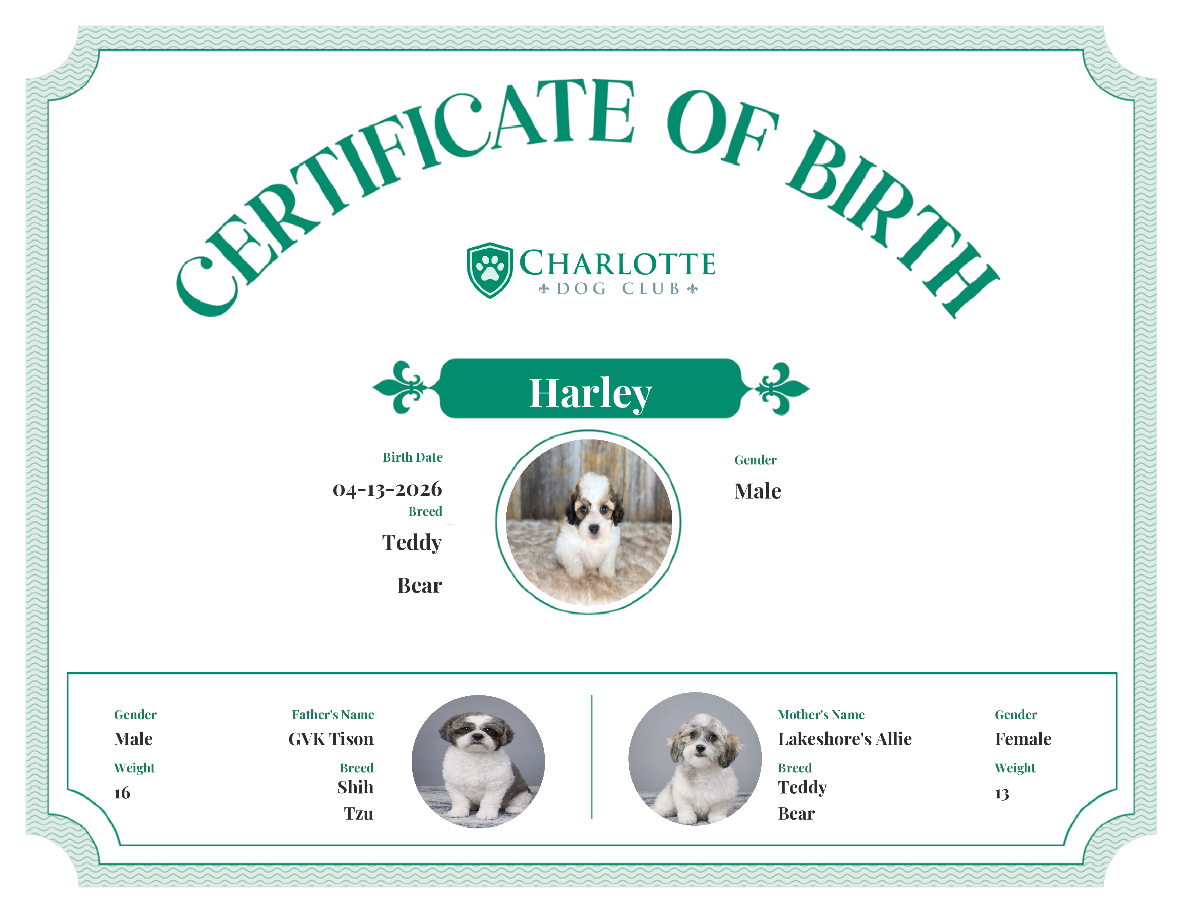 Harley's Birth Certificate