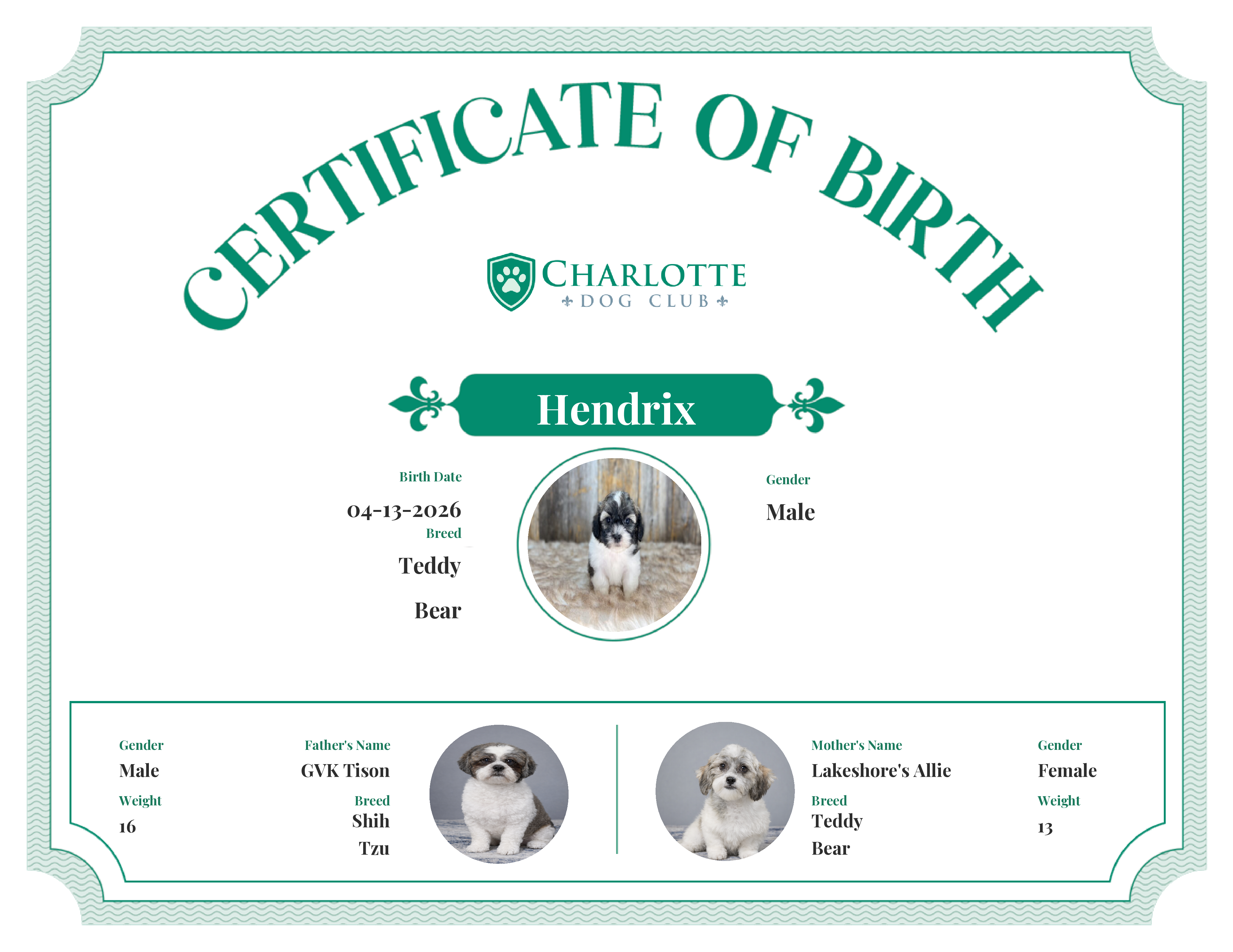 Hendrix's Birth Certificate