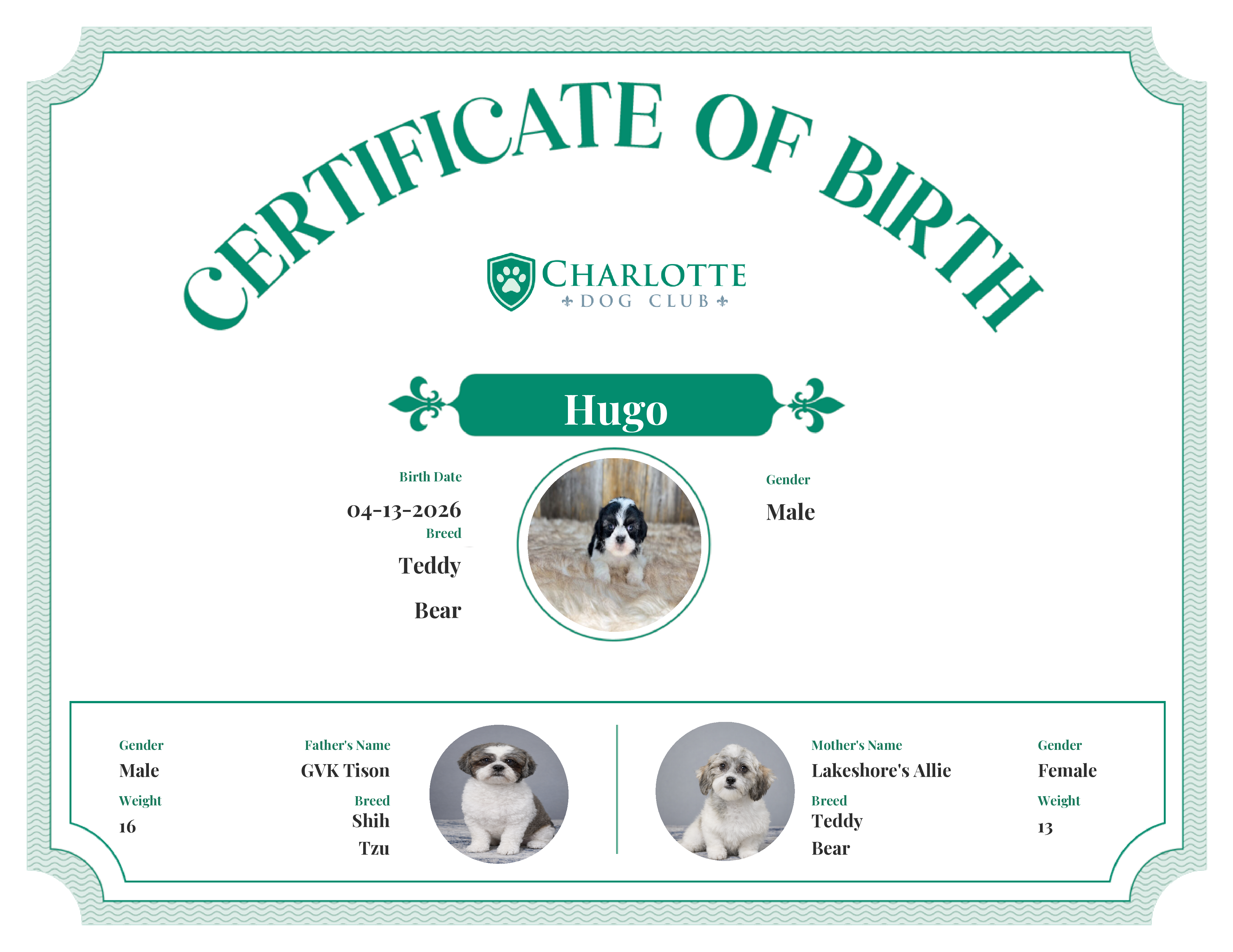 Hugo's Birth Certificate