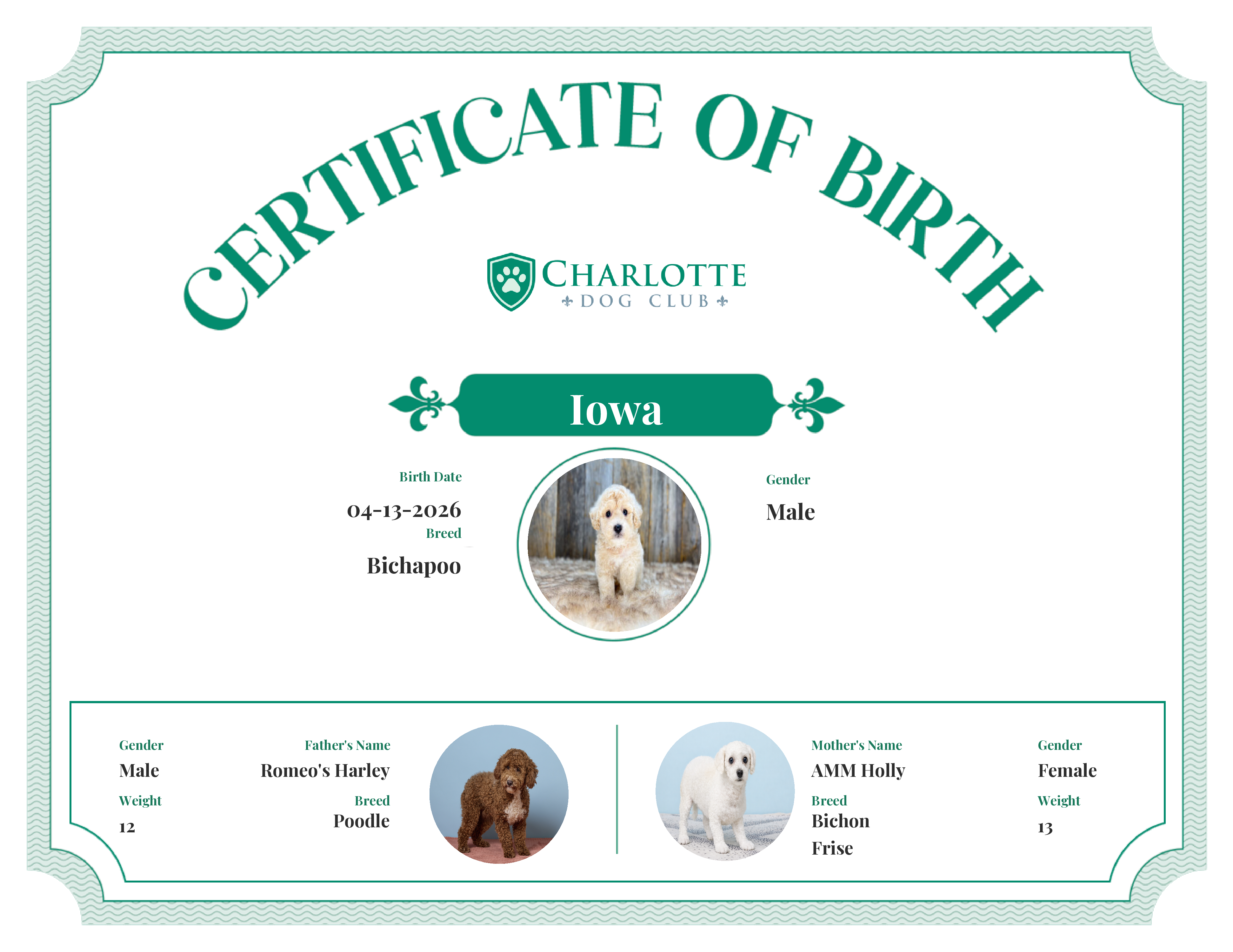 Iowa's Birth Certificate