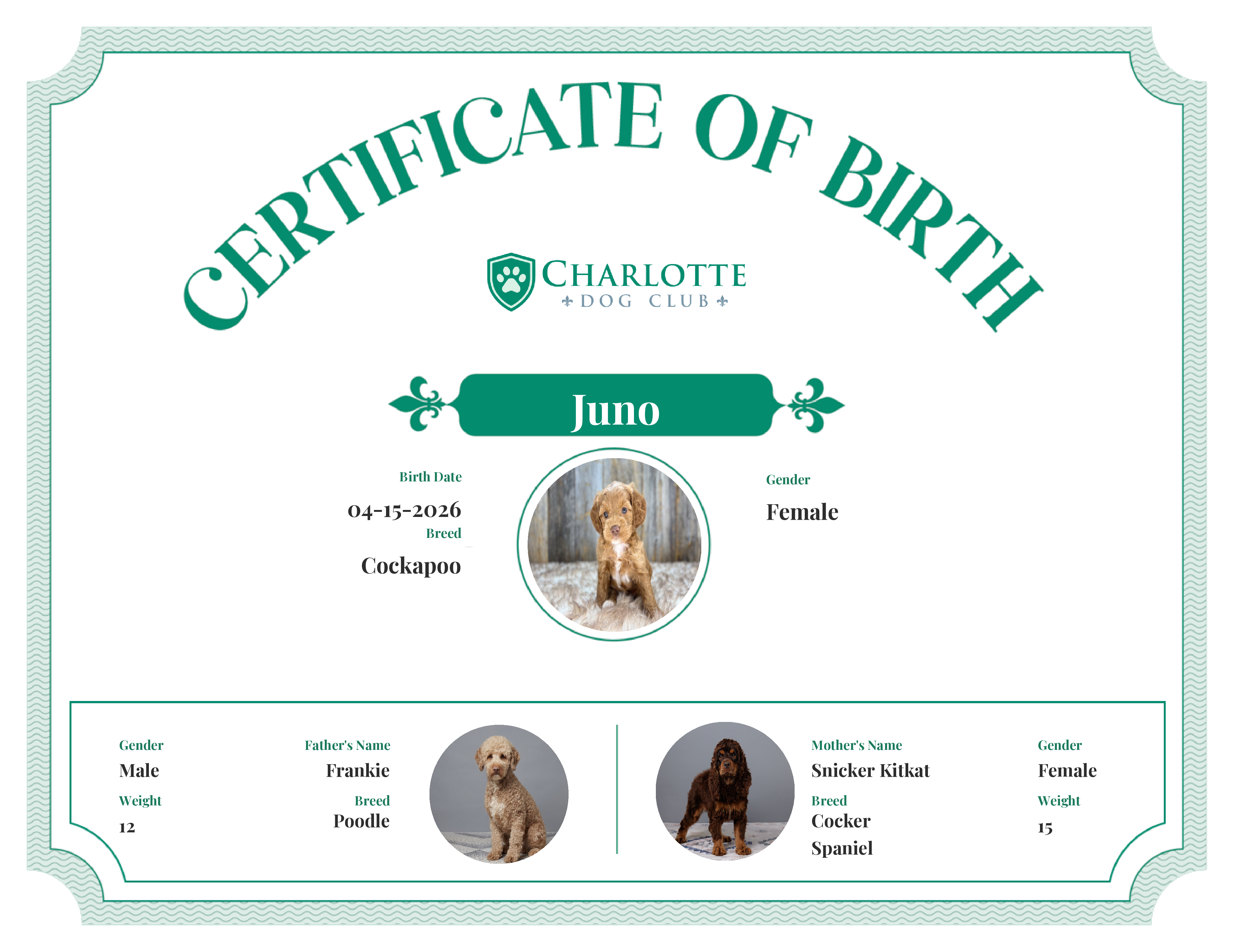 Juno's Birth Certificate