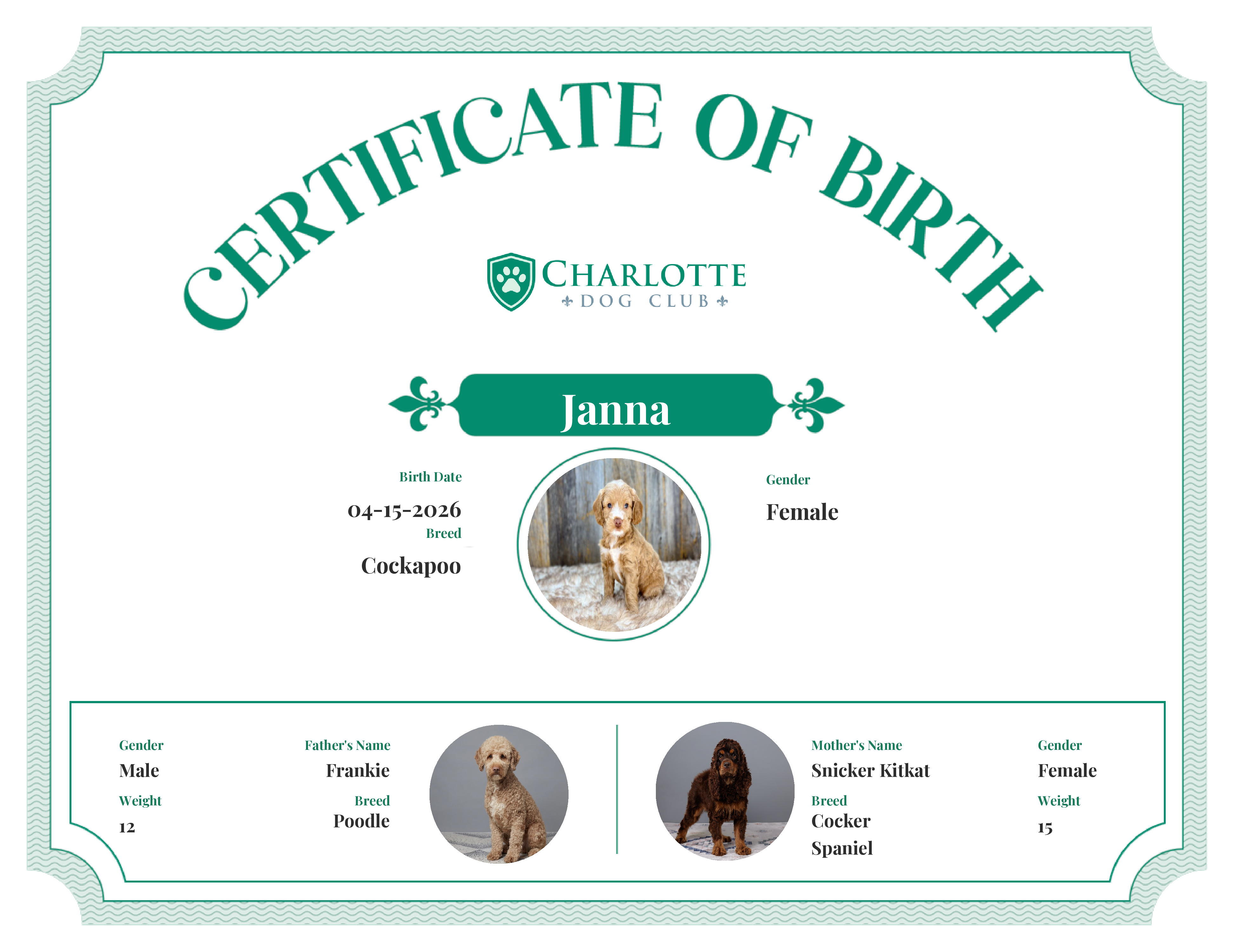 Janna's Birth Certificate