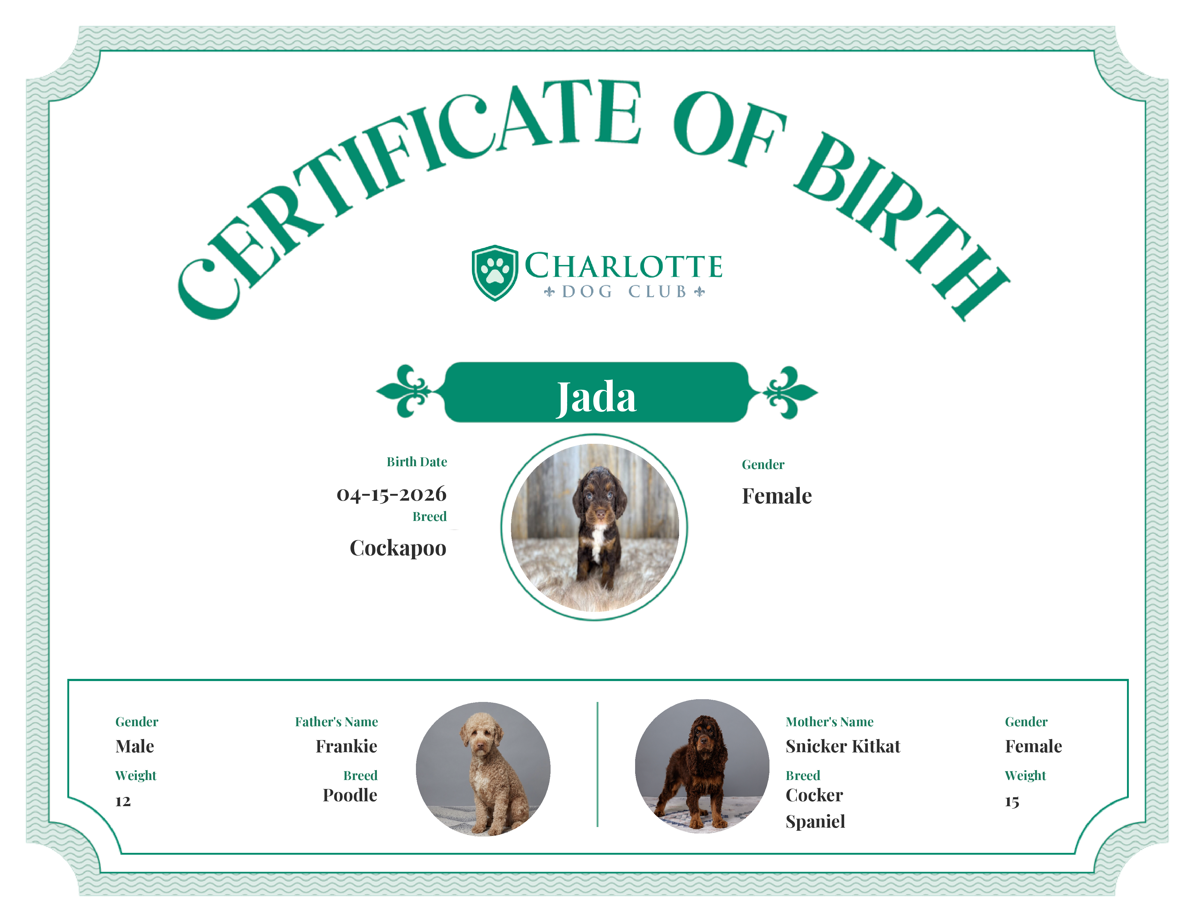 Jada's Birth Certificate