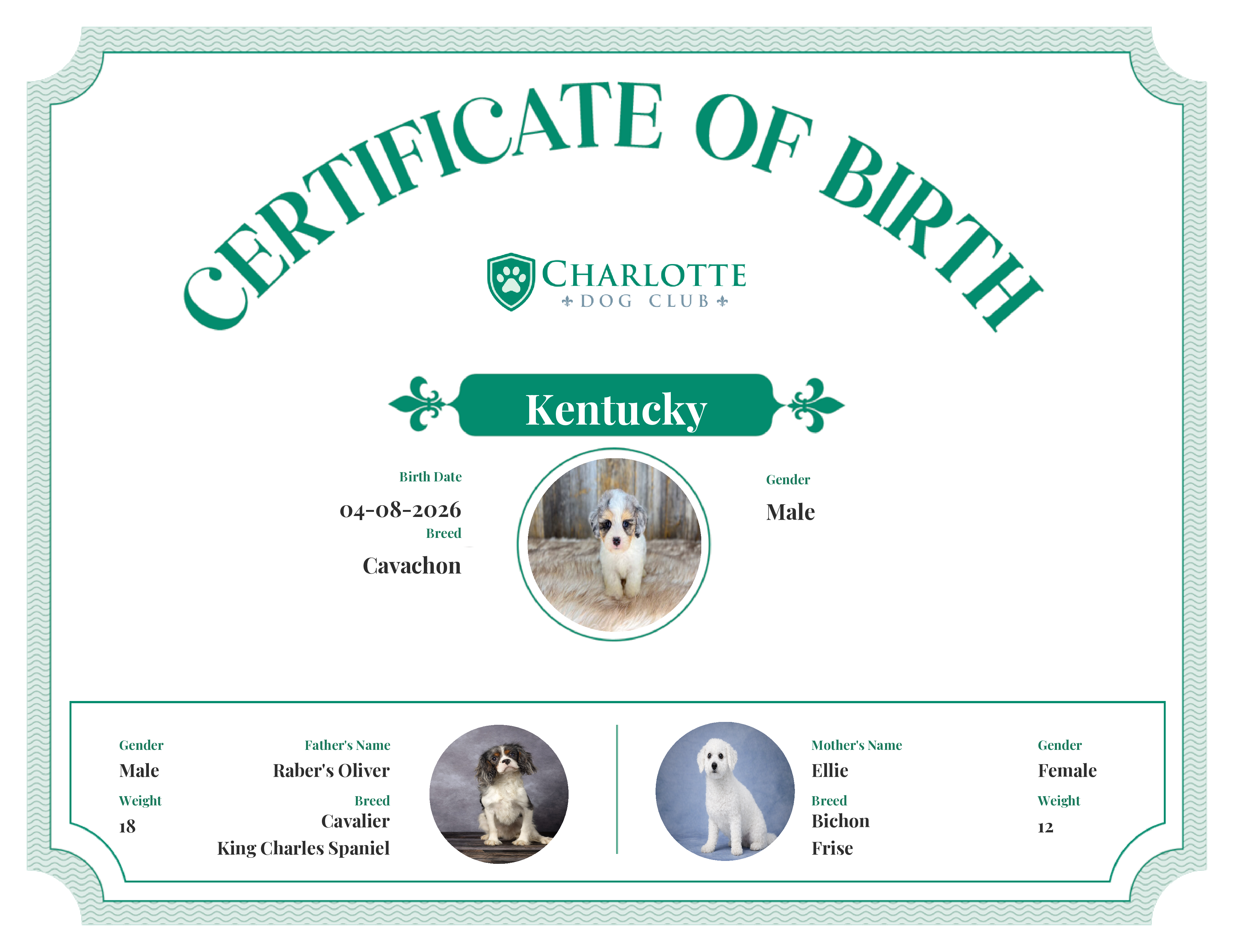 Kentucky's Birth Certificate