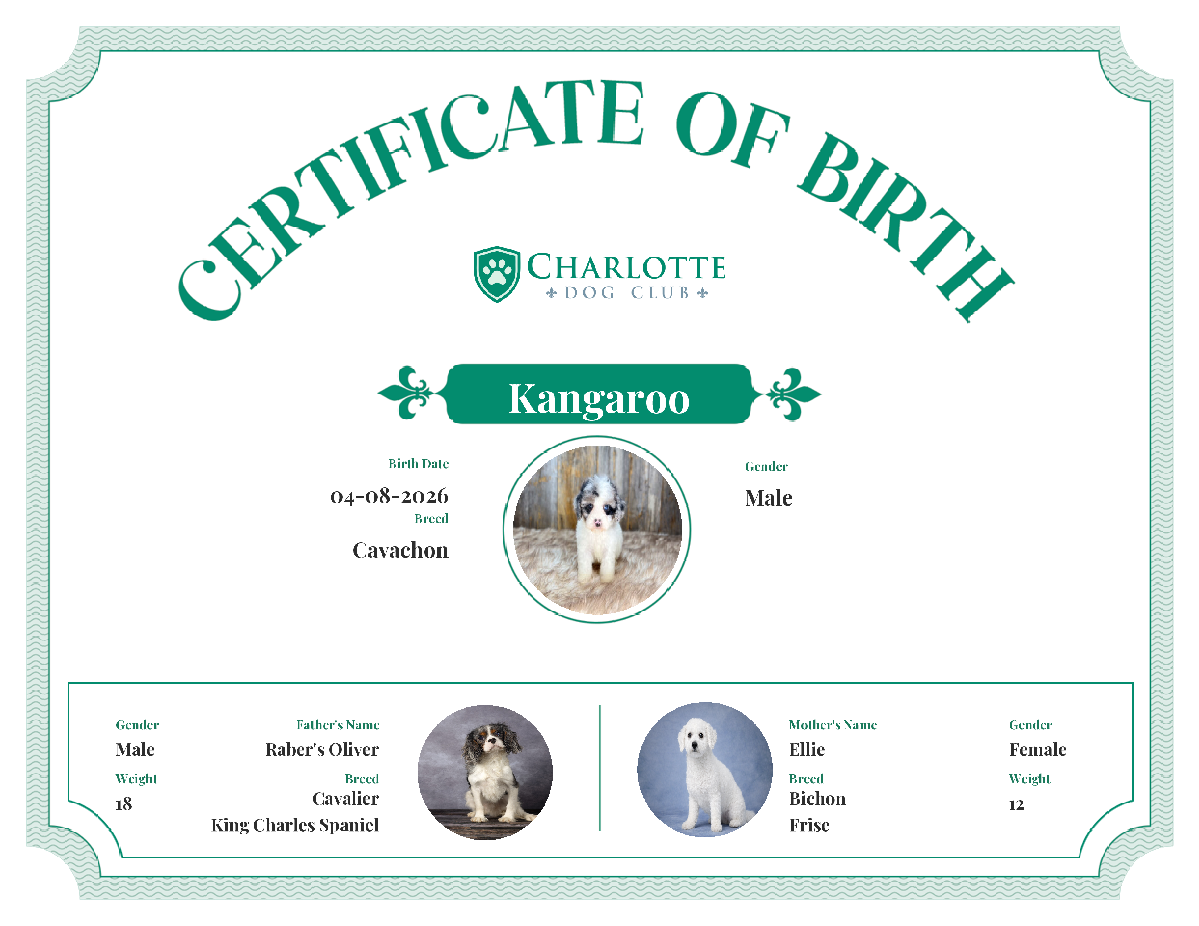 Kangaroo's Birth Certificate