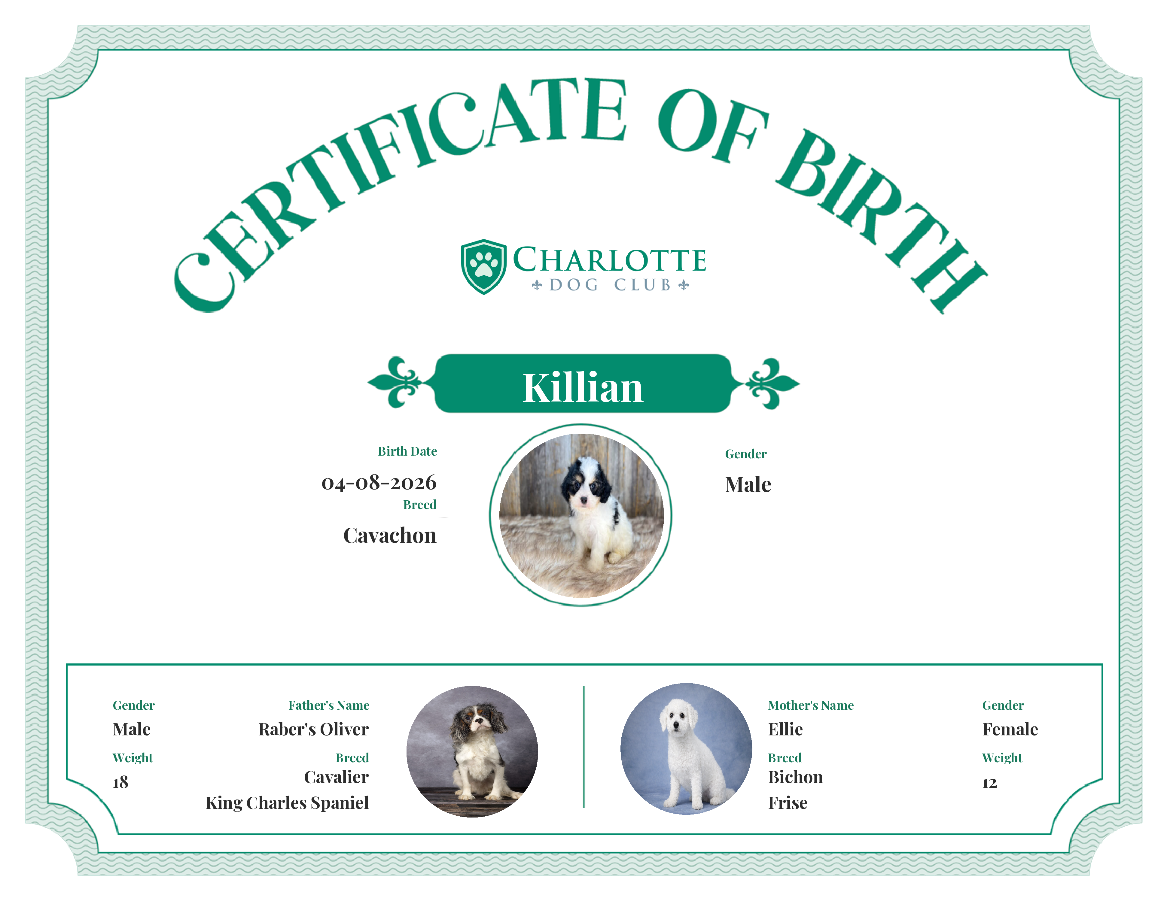 Killian's Birth Certificate