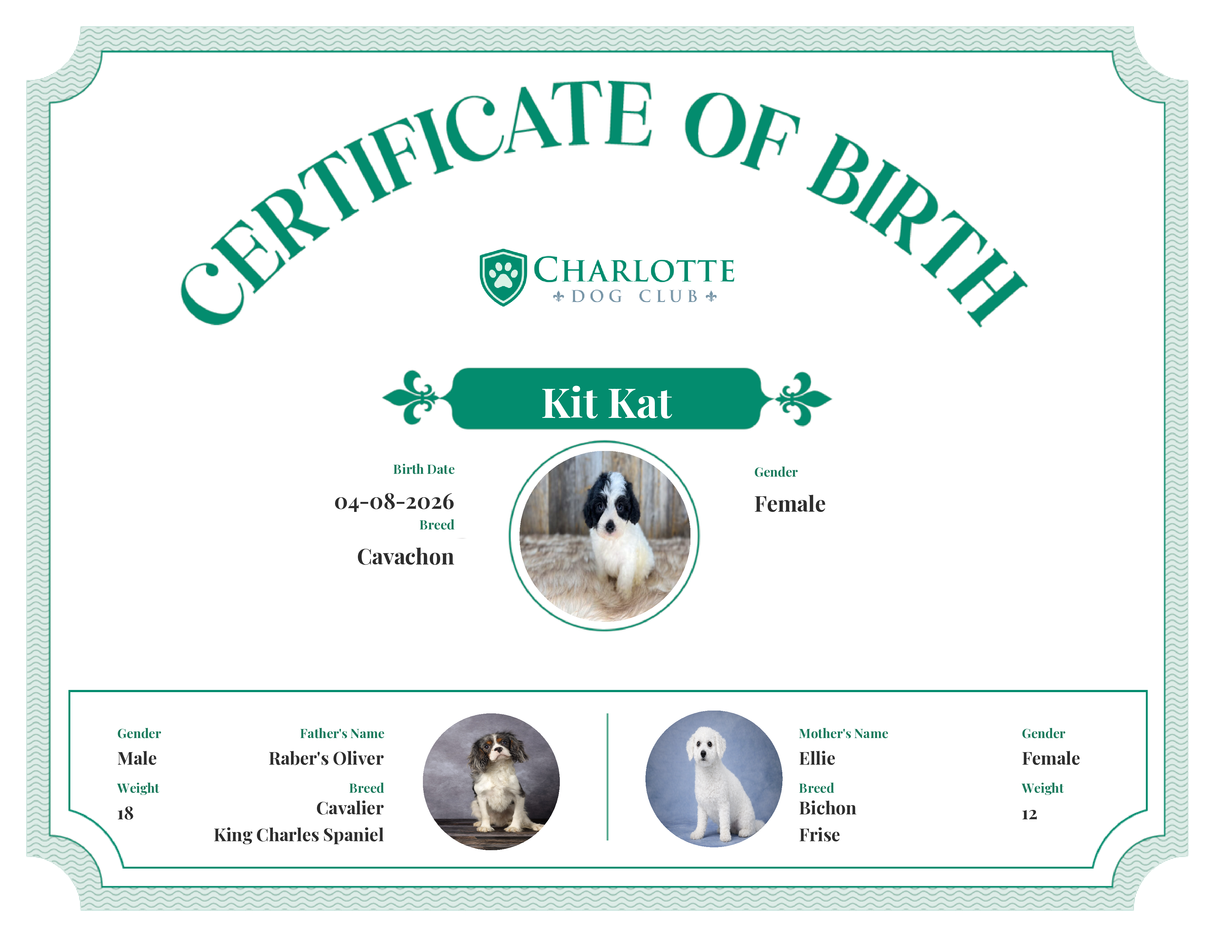 Kit Kat's Birth Certificate
