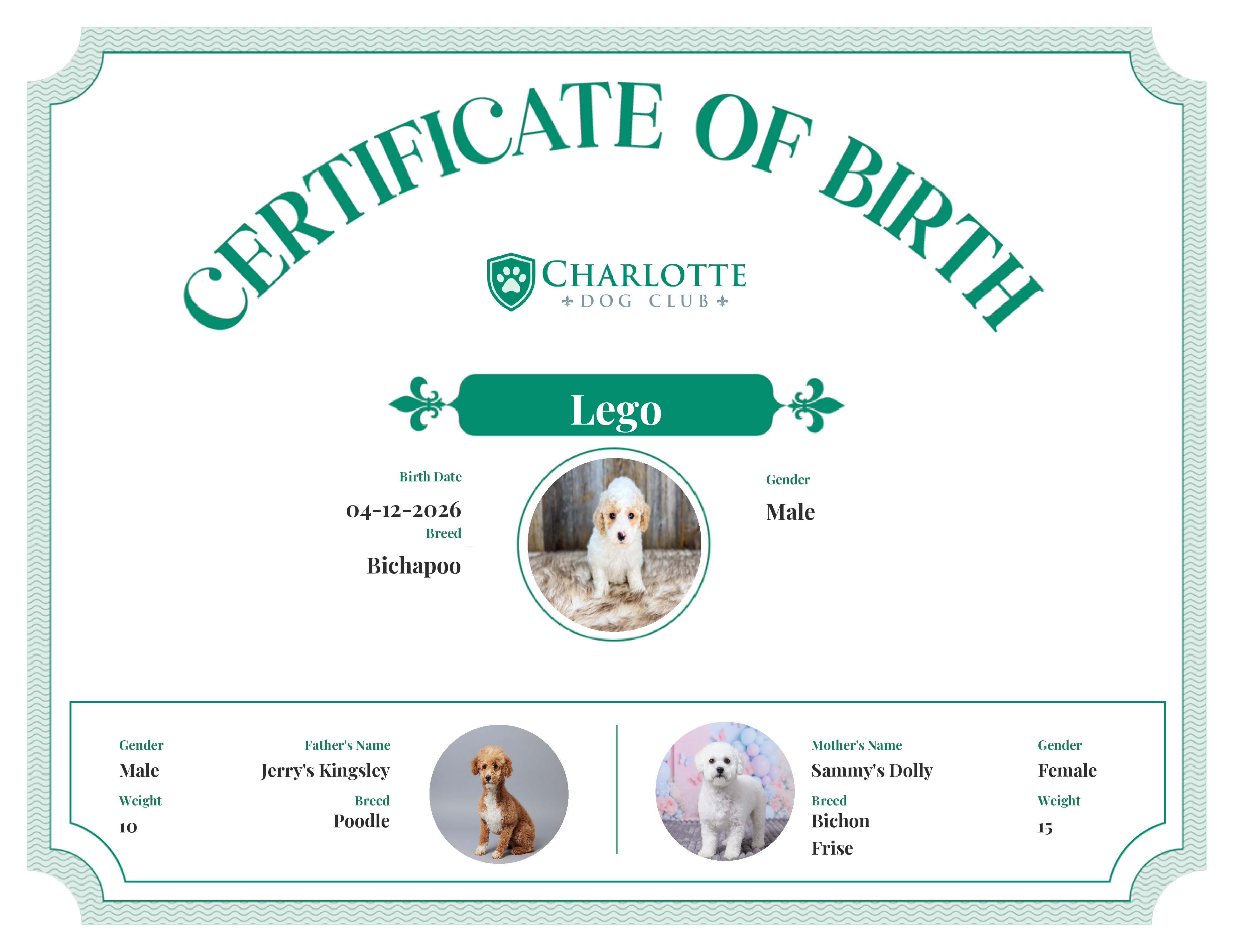 Lego's Birth Certificate
