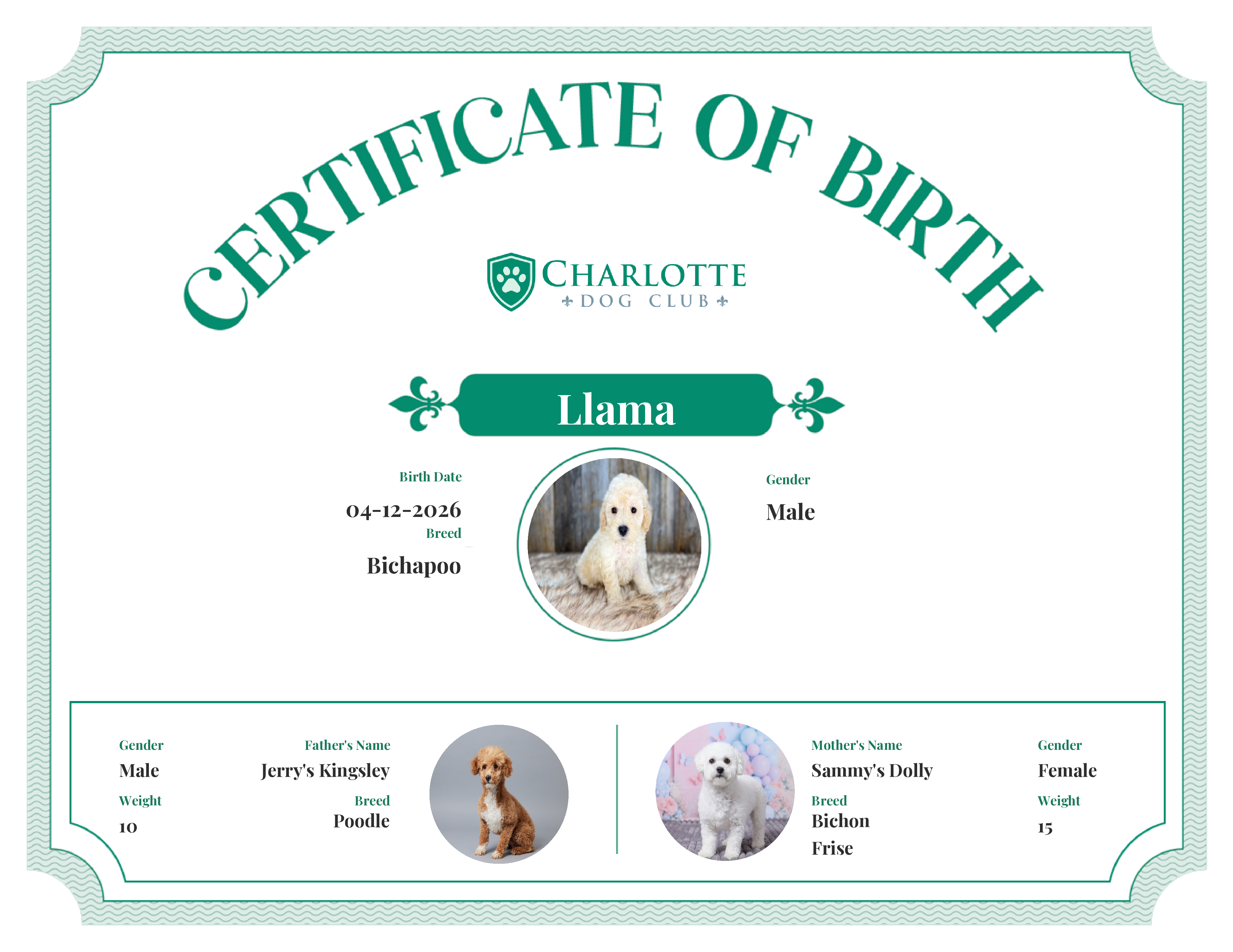 Llama's Birth Certificate