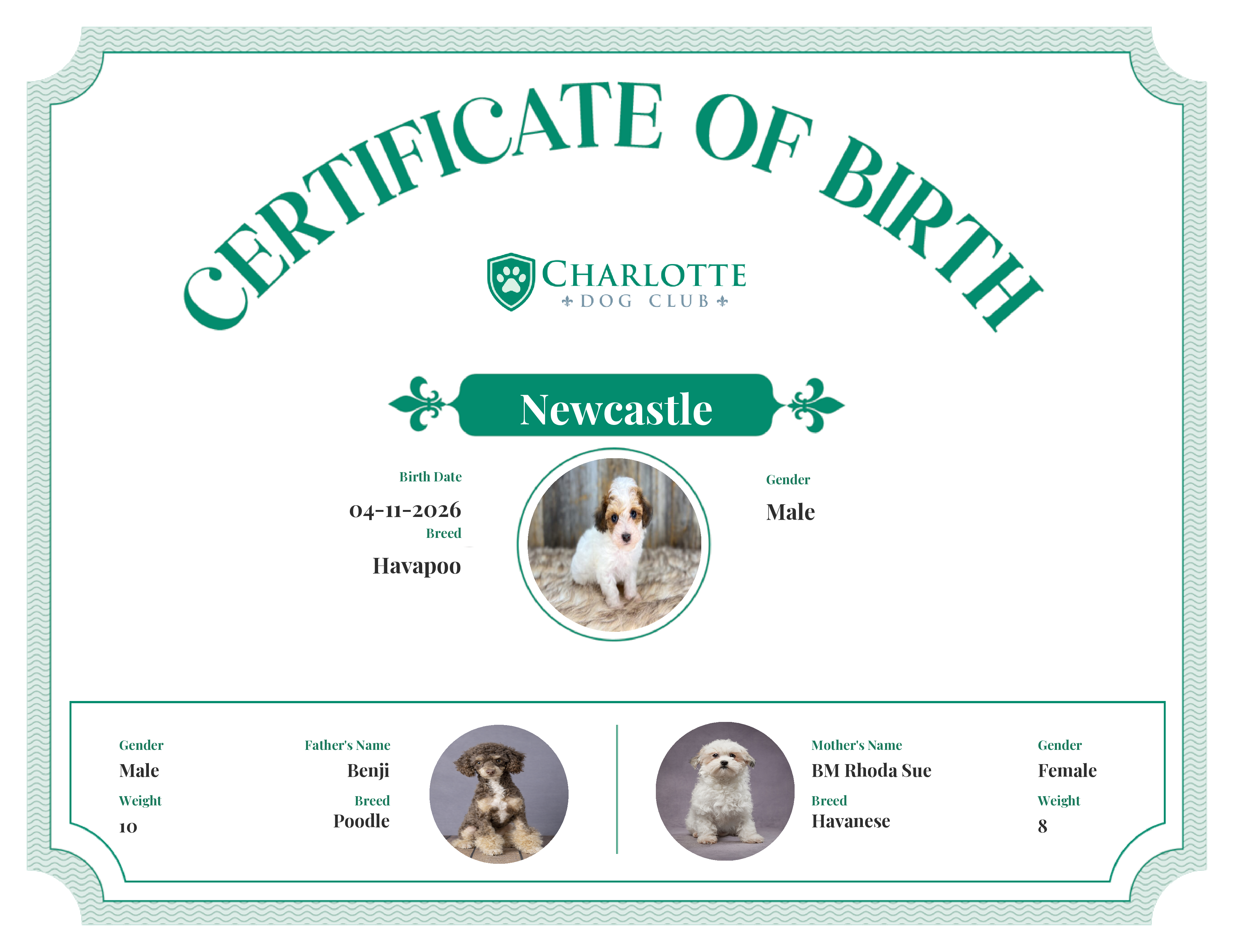 Newcastle's Birth Certificate