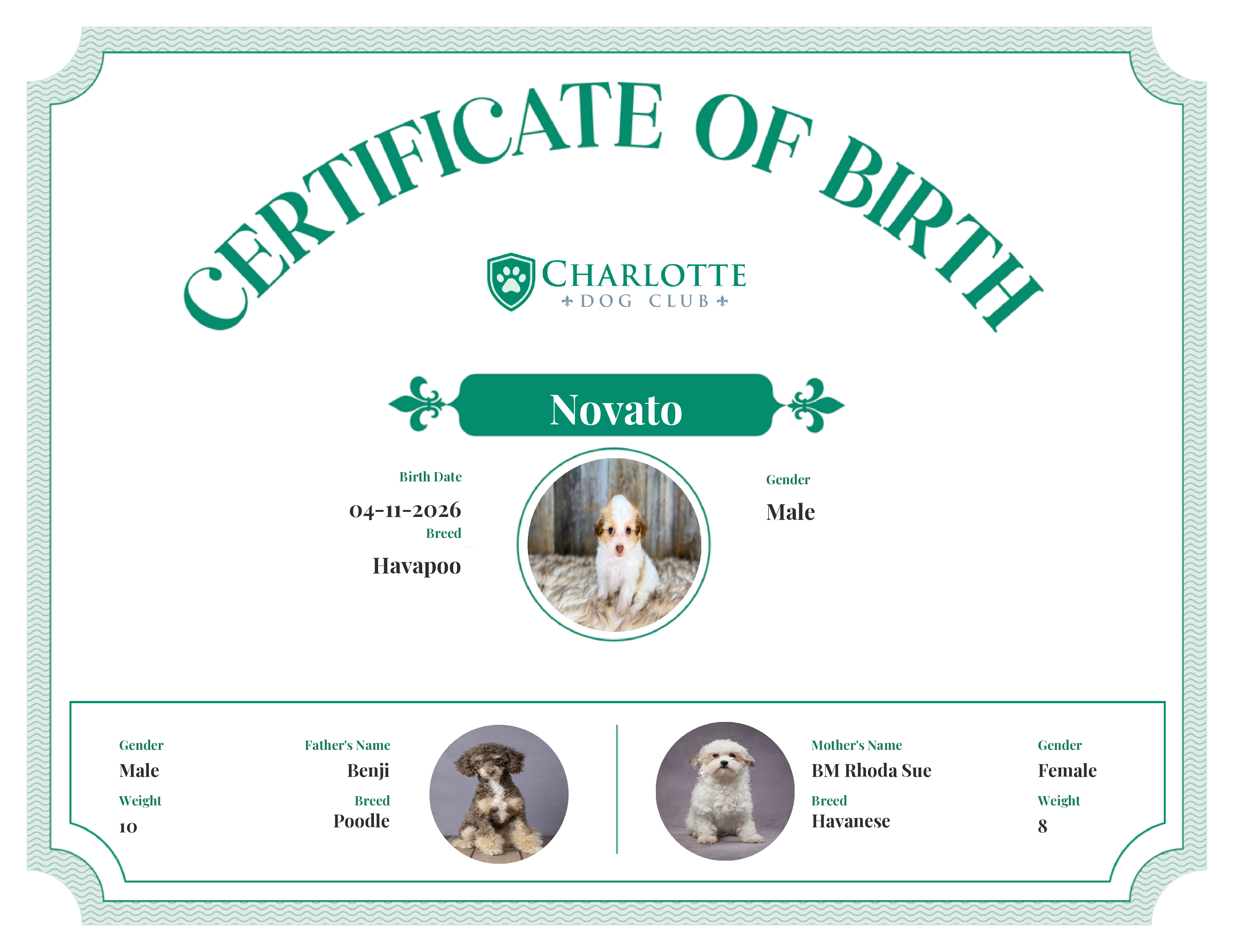 Novato's Birth Certificate