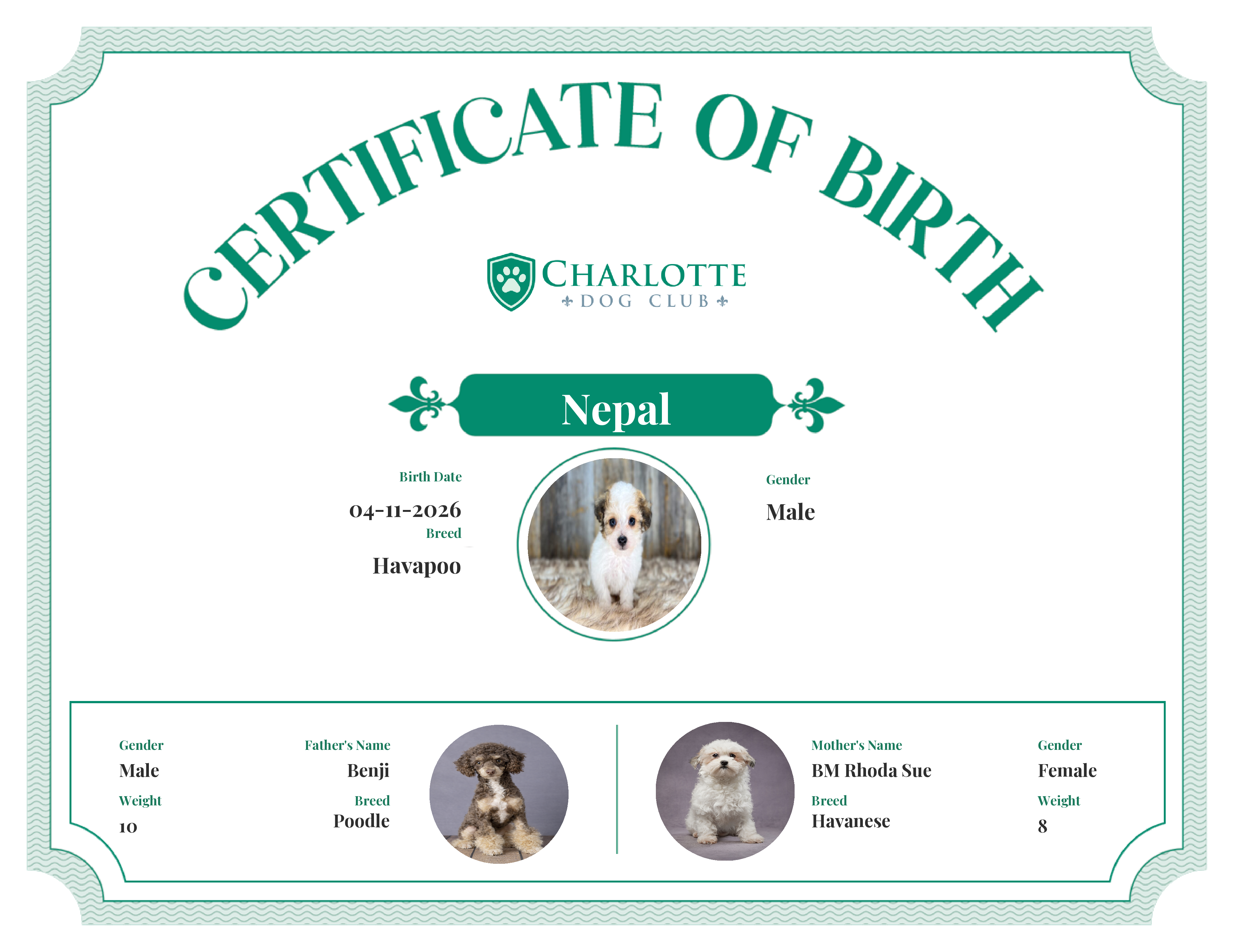 Nepal's Birth Certificate