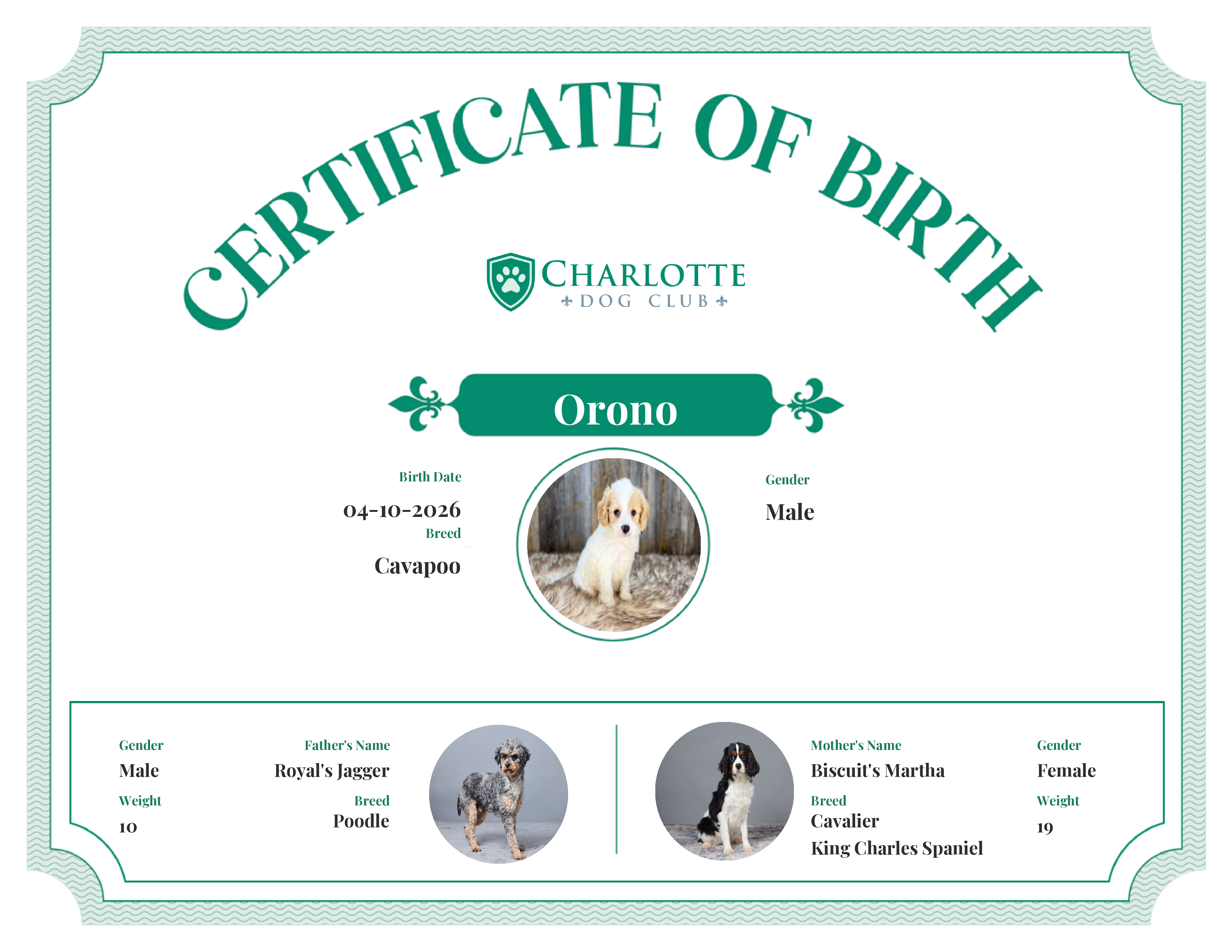 Orono's Birth Certificate