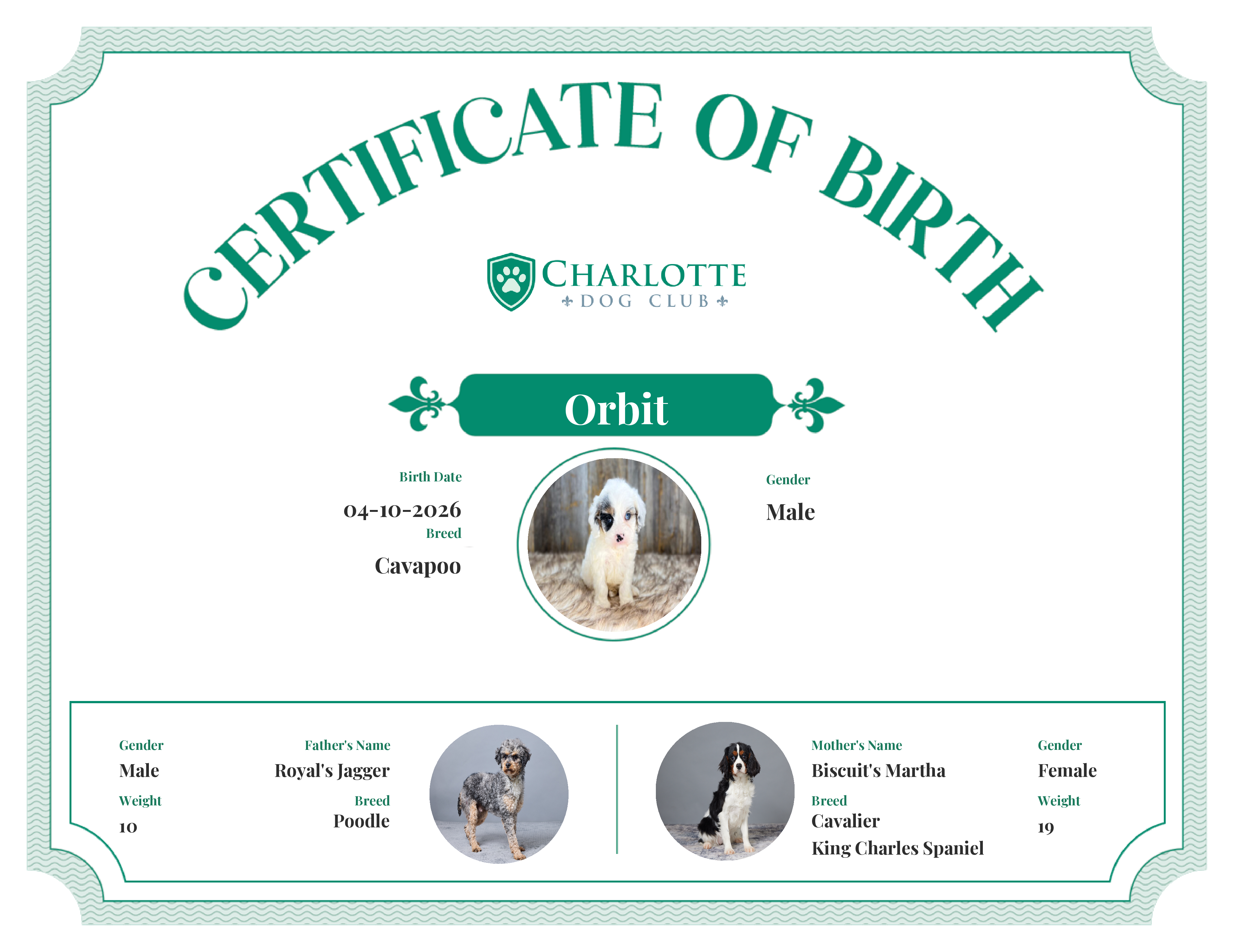 Orbit's Birth Certificate