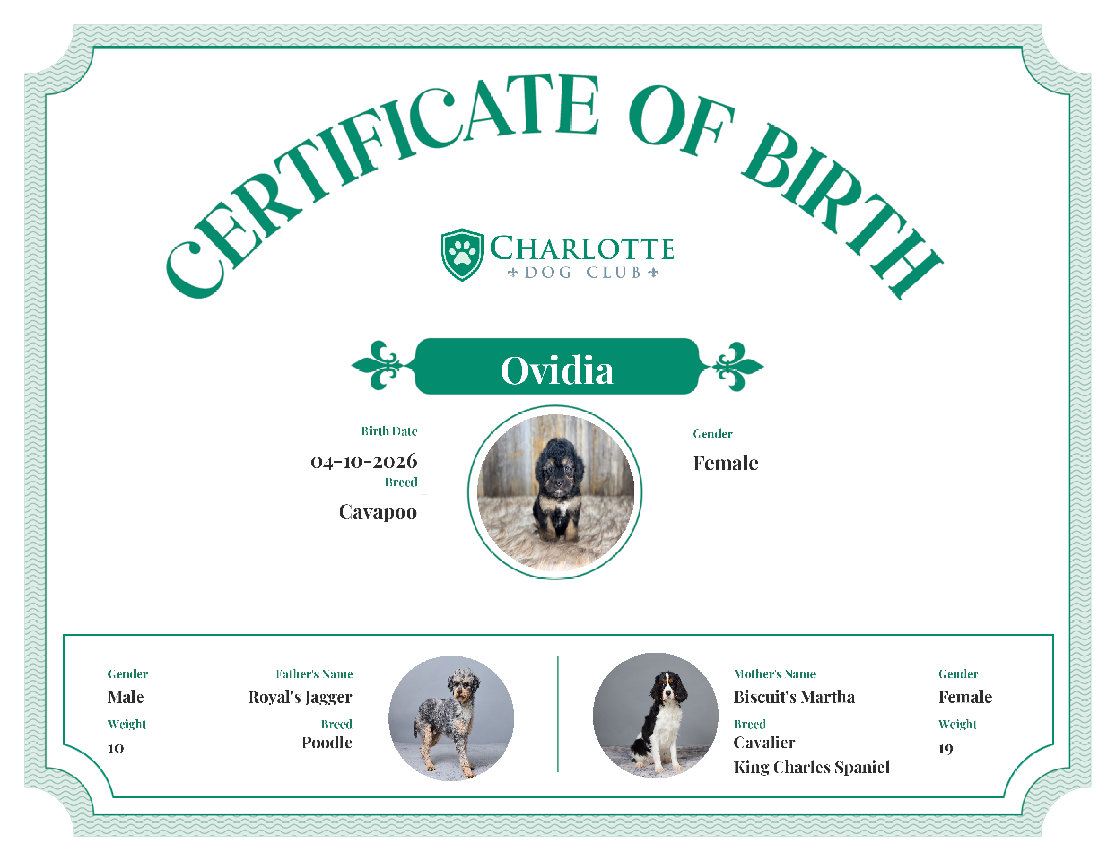 Ovidia's Birth Certificate
