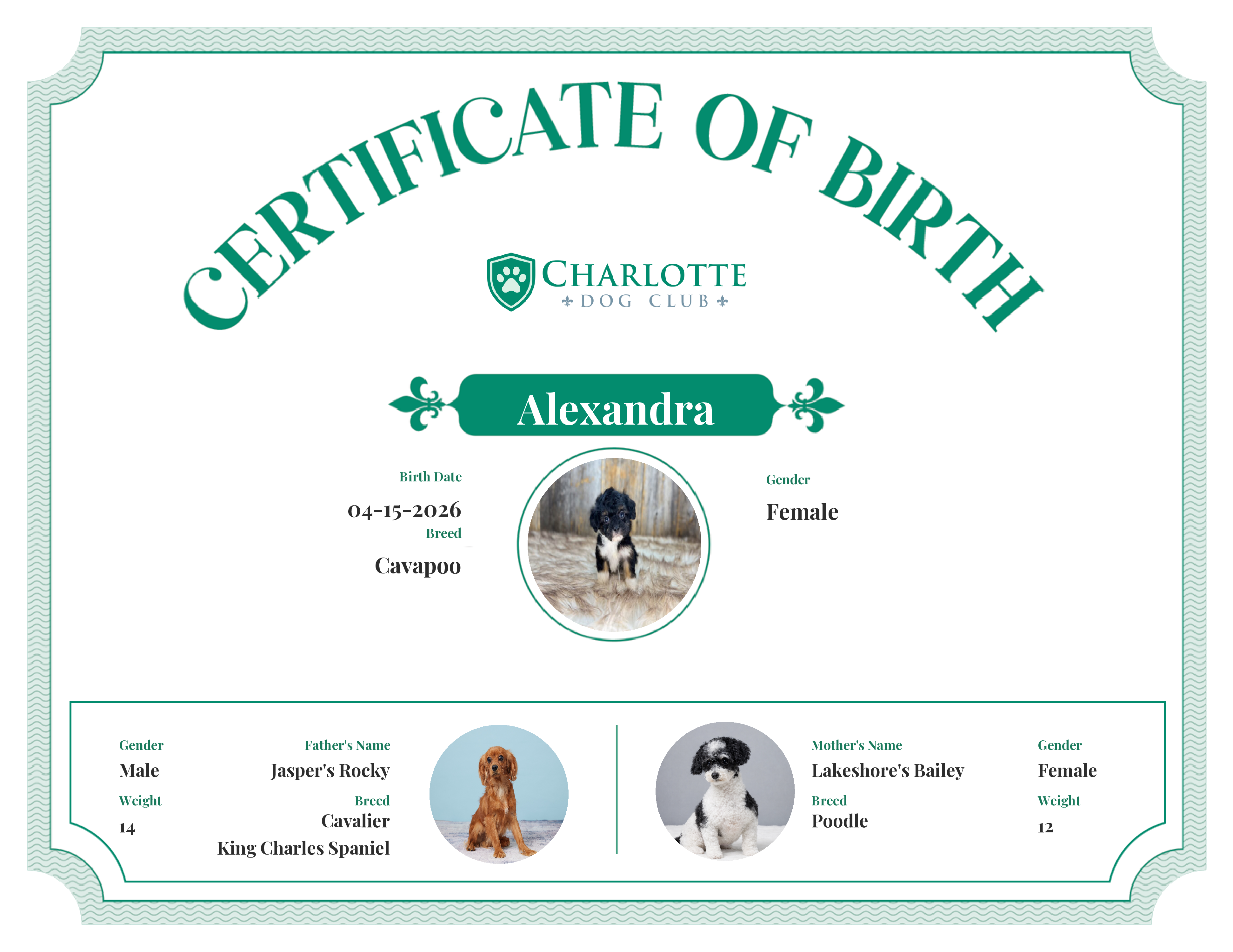 Alexandra's Birth Certificate