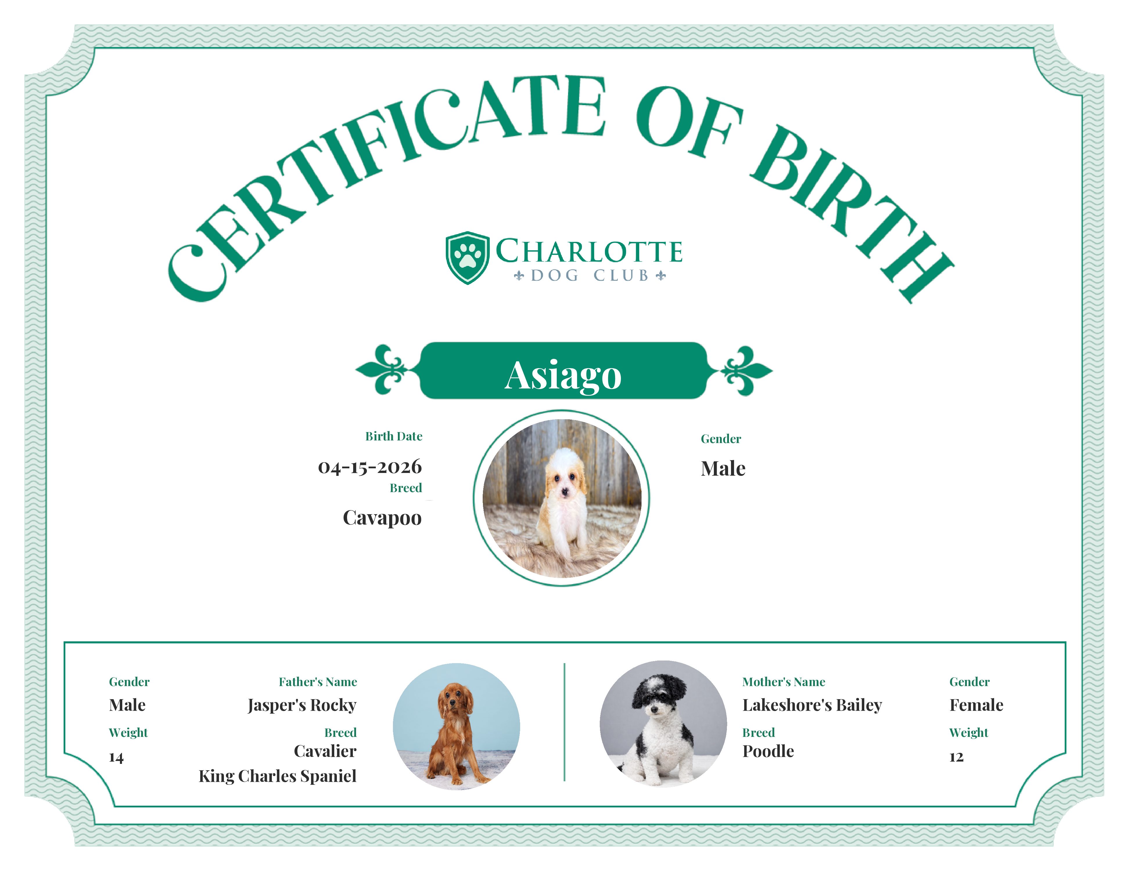 Asiago's Birth Certificate