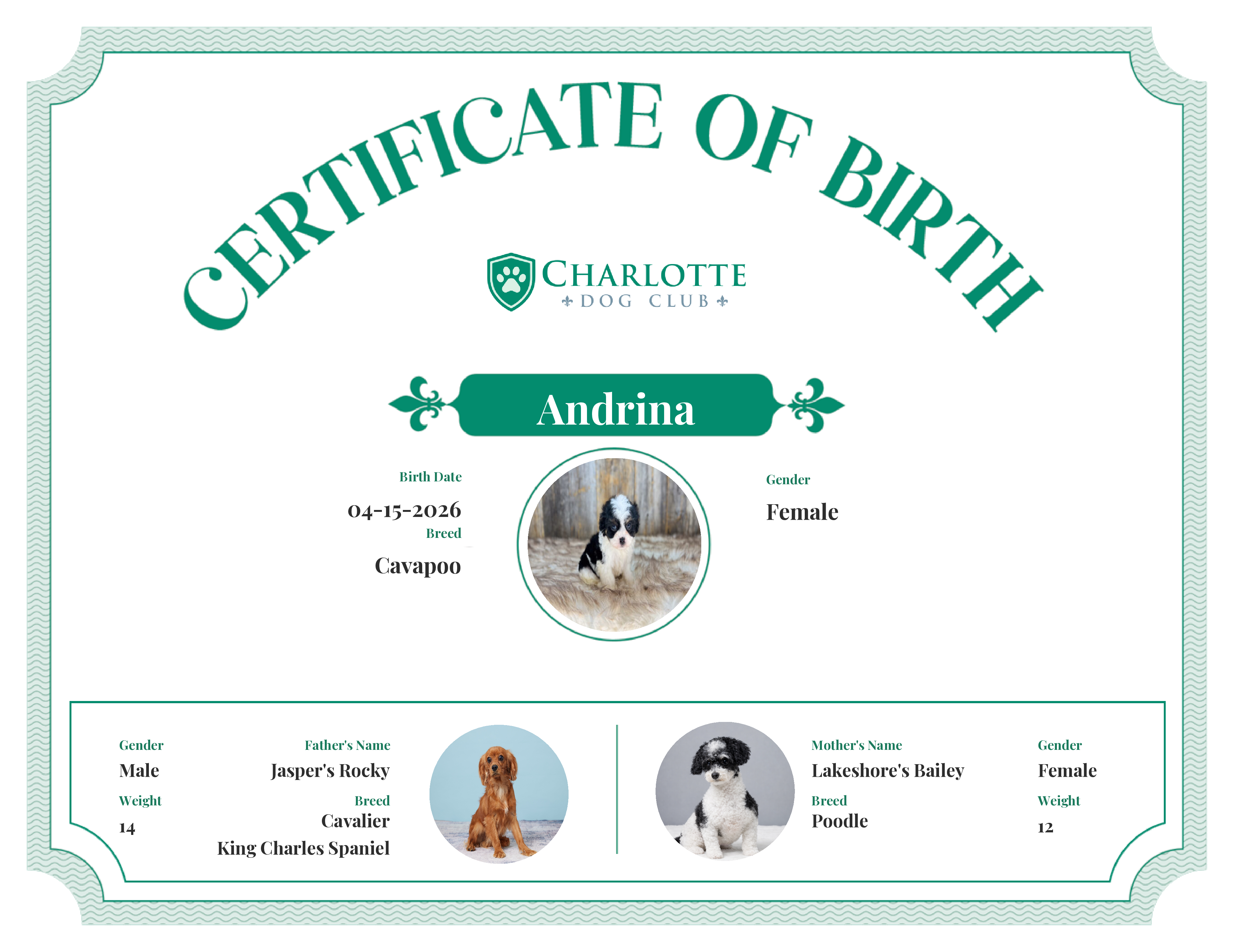 Andrina's Birth Certificate