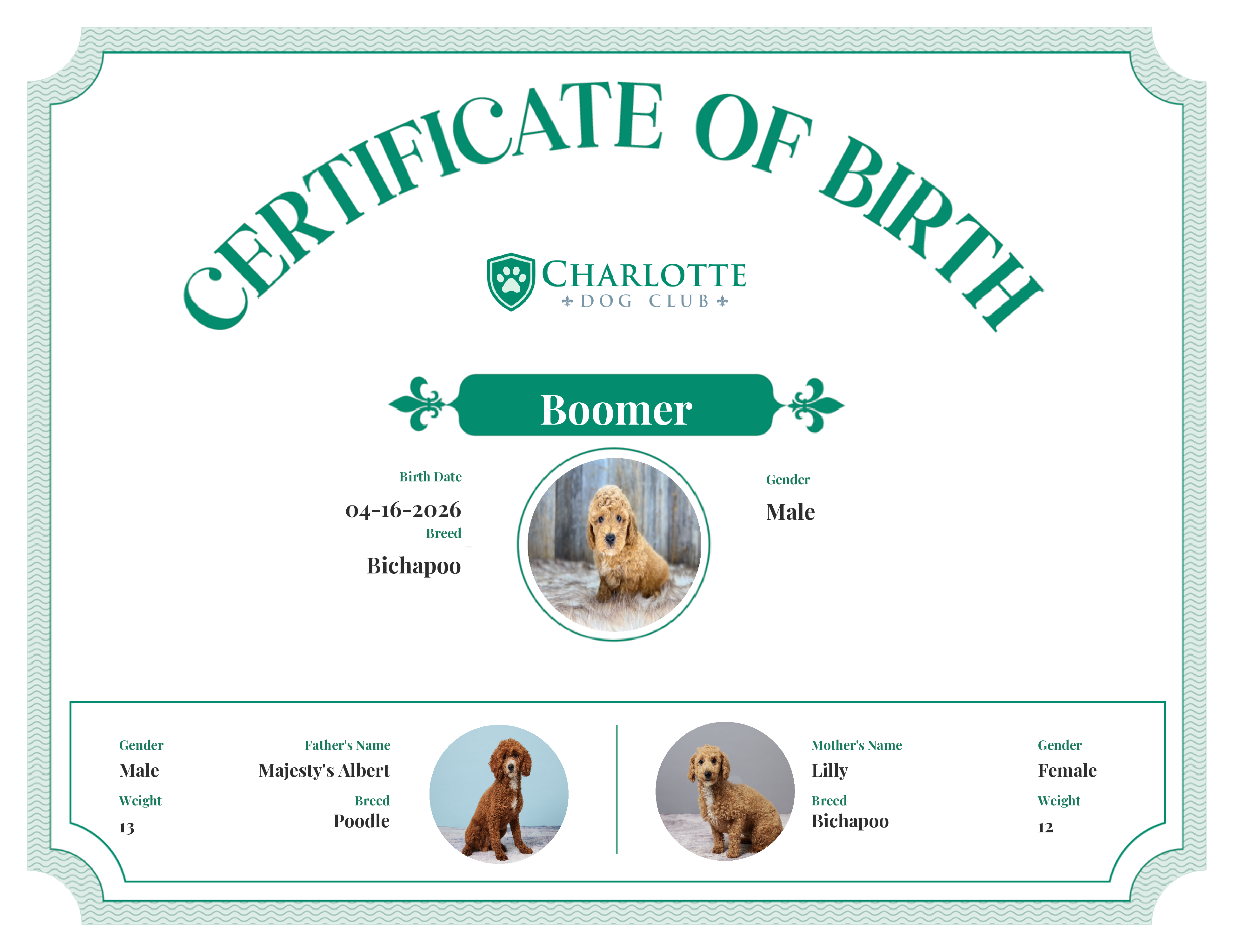 Boomer's Birth Certificate