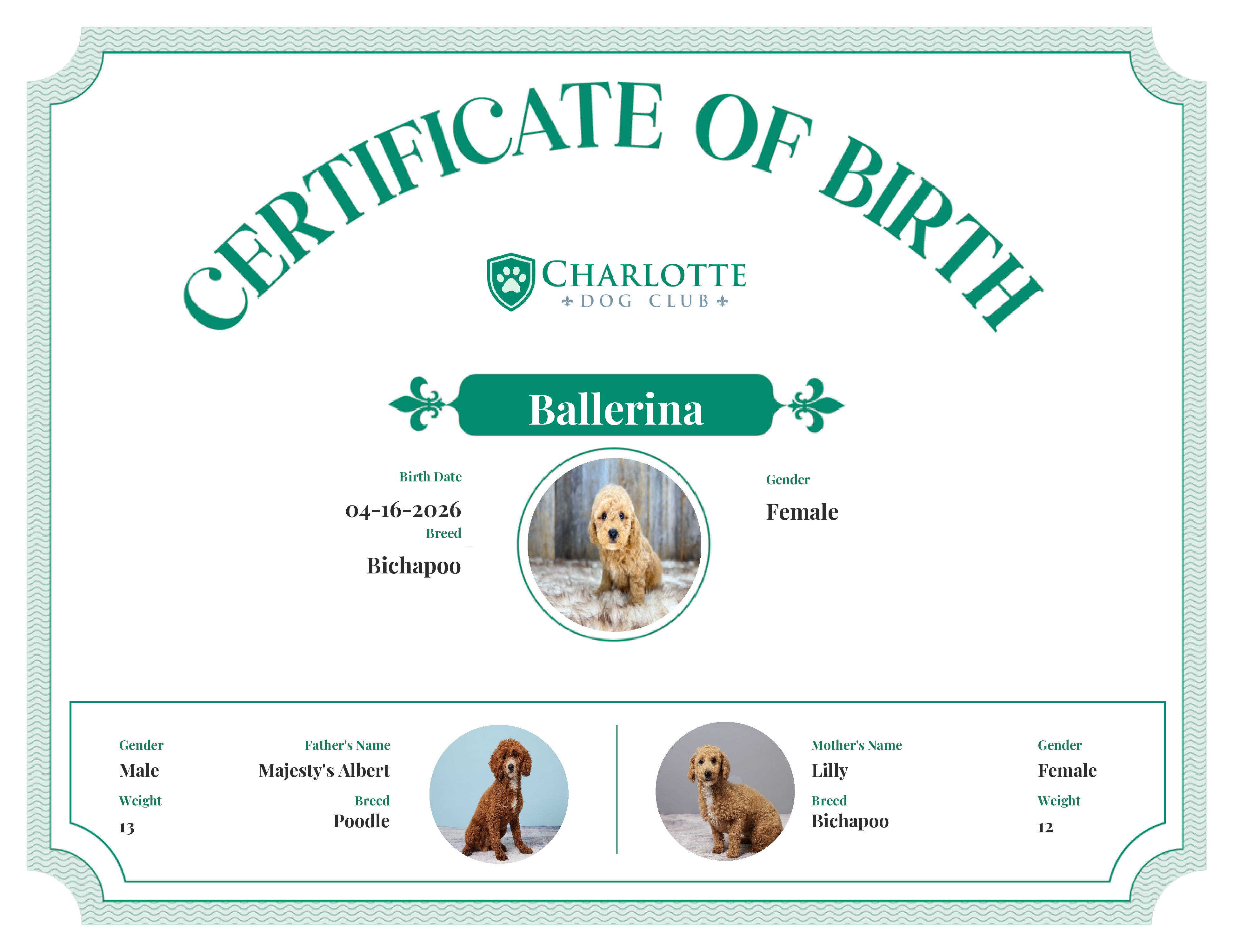 Ballerina's Birth Certificate