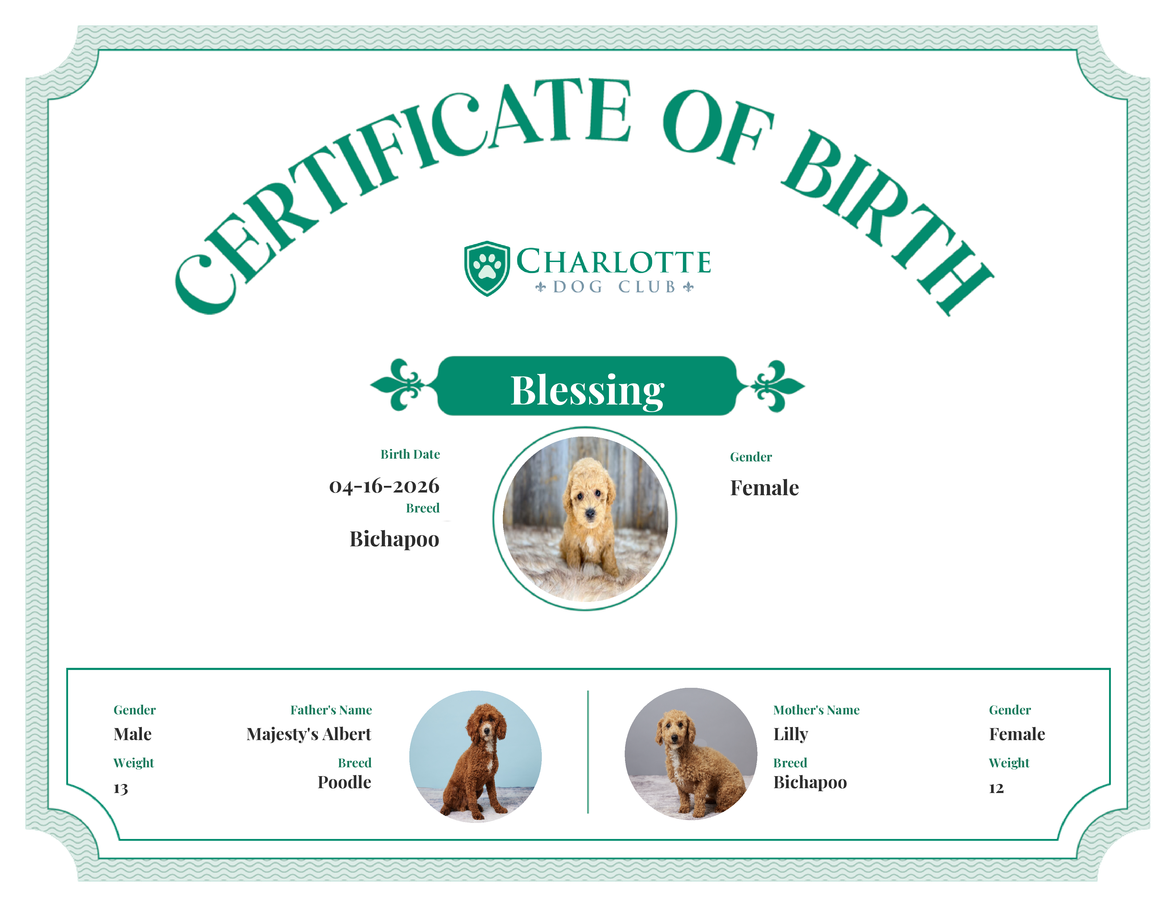Blessing's Birth Certificate