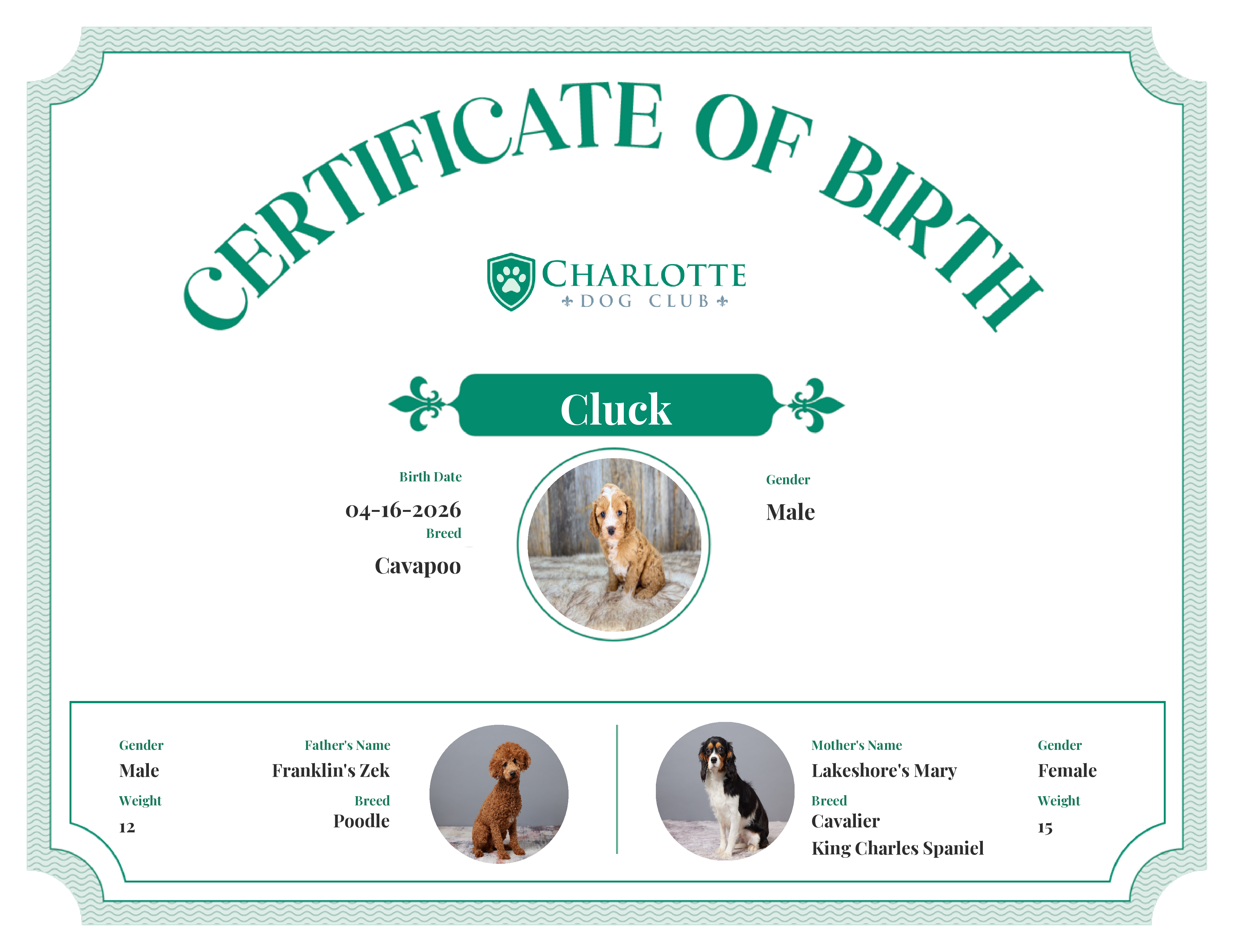 Cluck's Birth Certificate