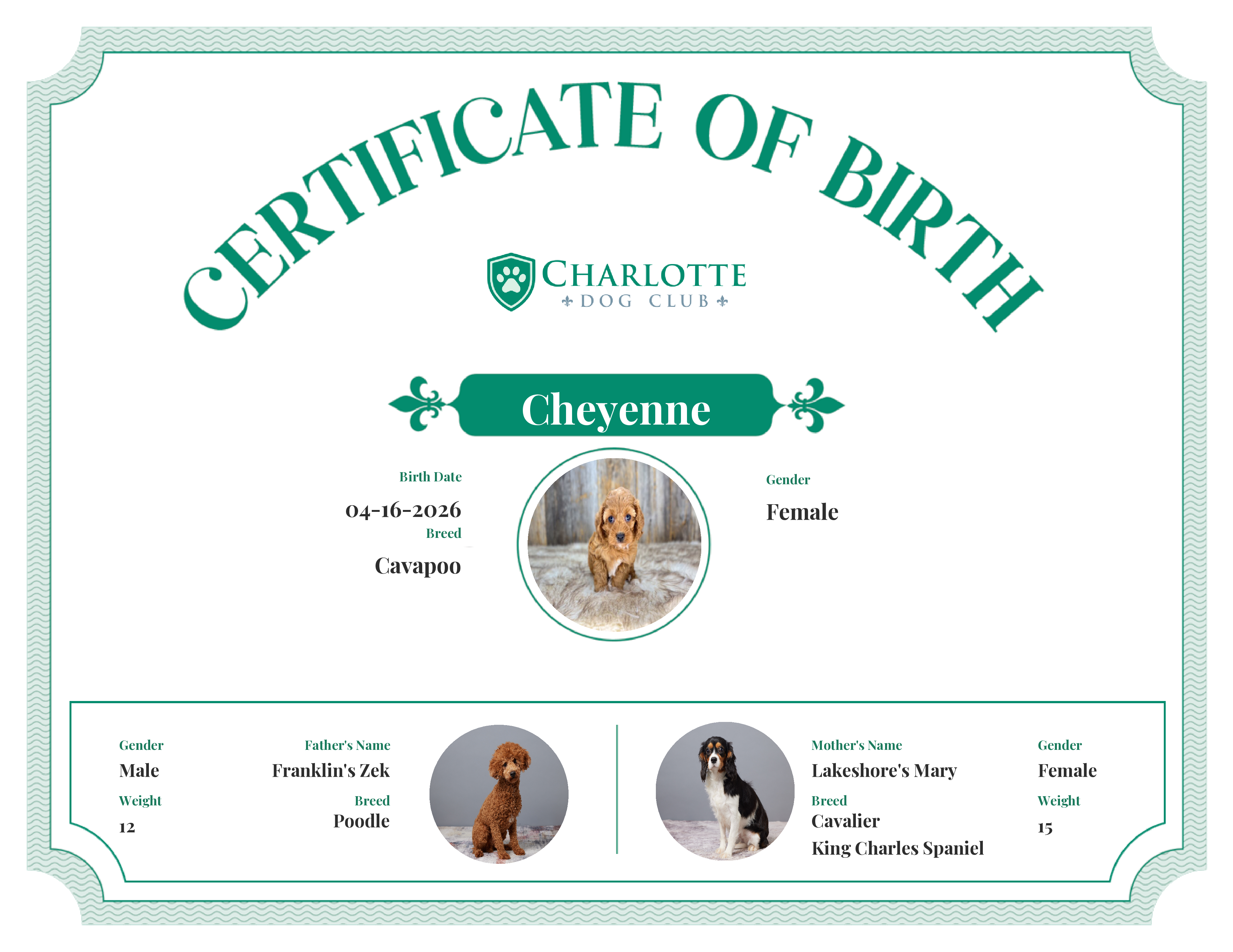 Cheyenne's Birth Certificate