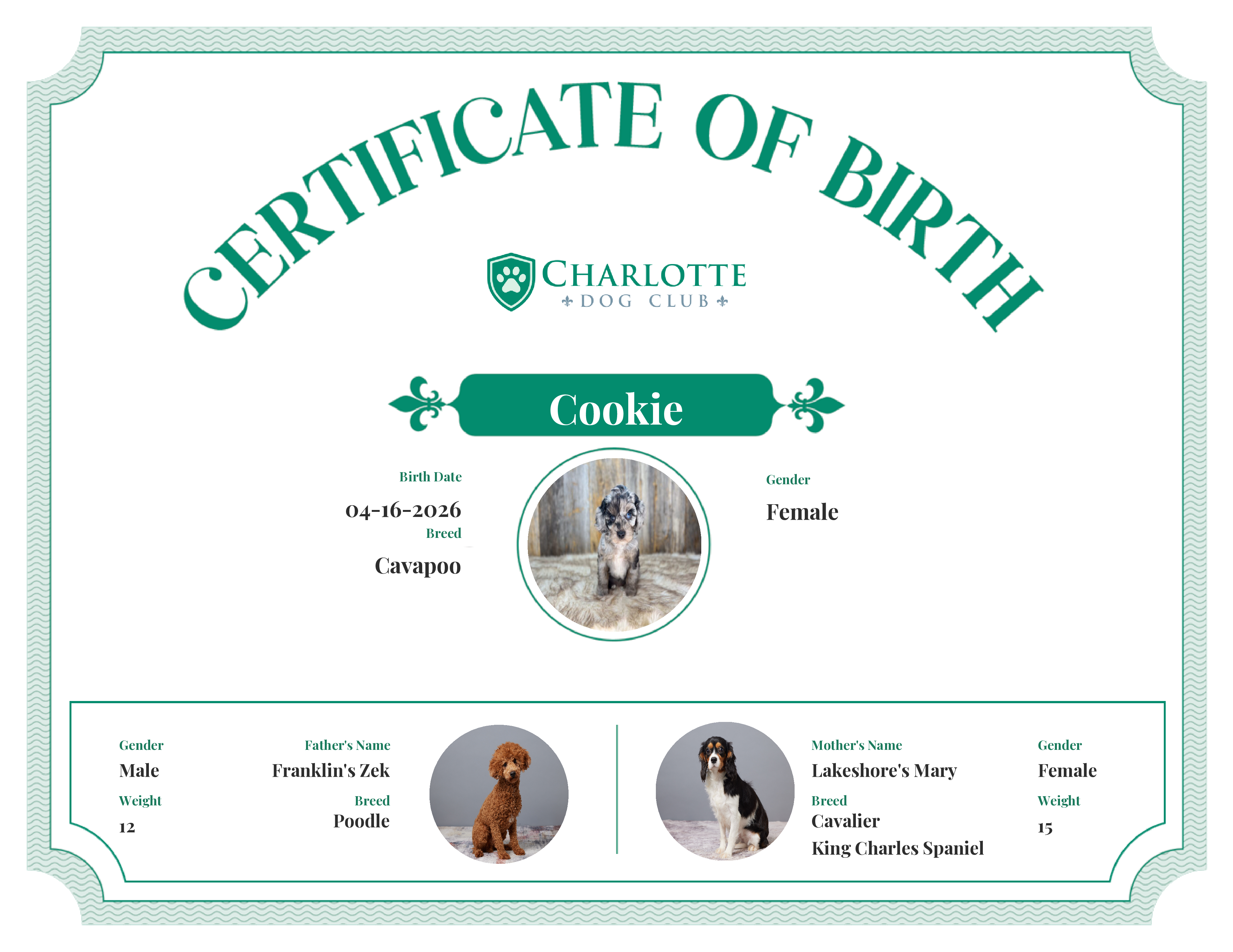 Cookie's Birth Certificate