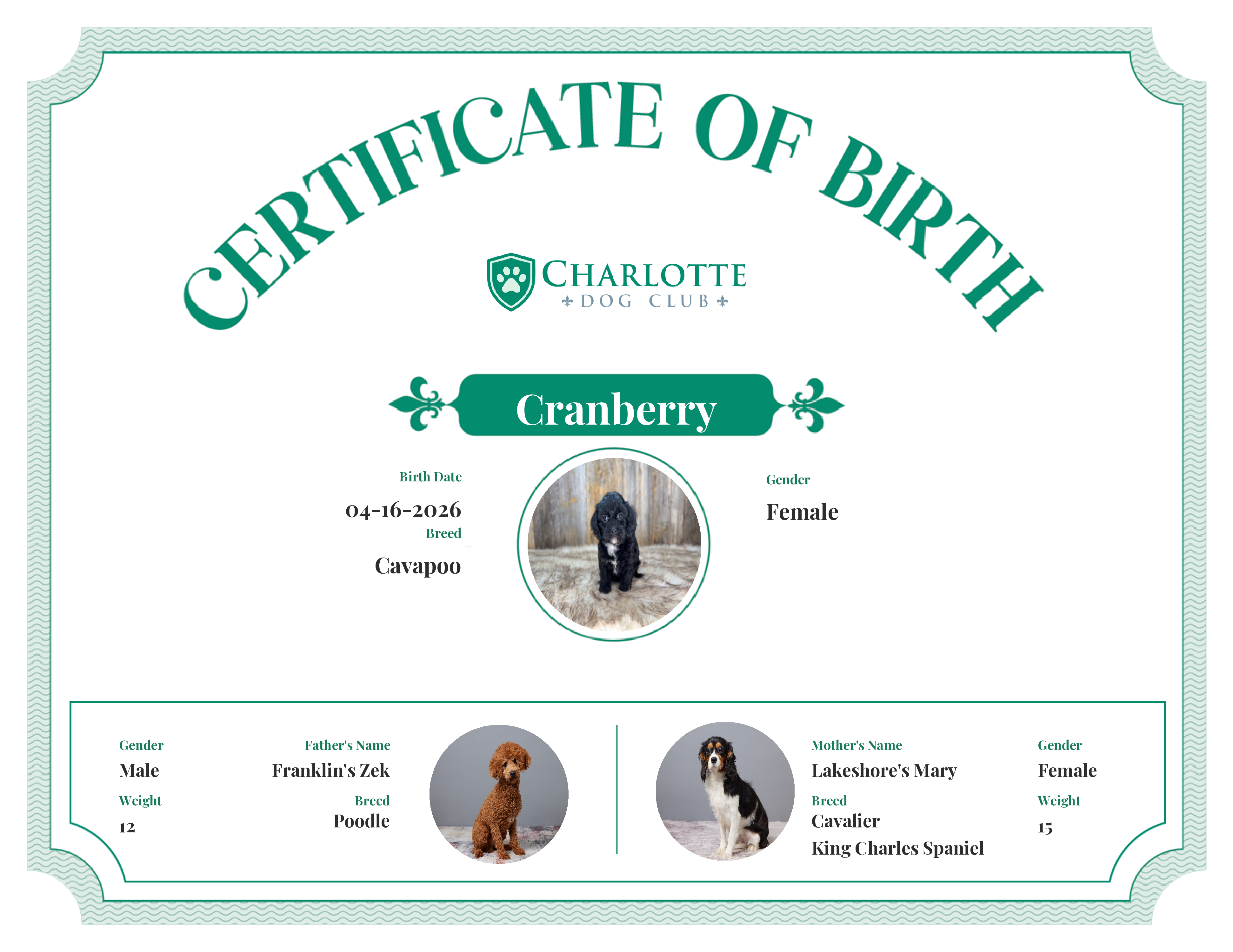 Cranberry's Birth Certificate