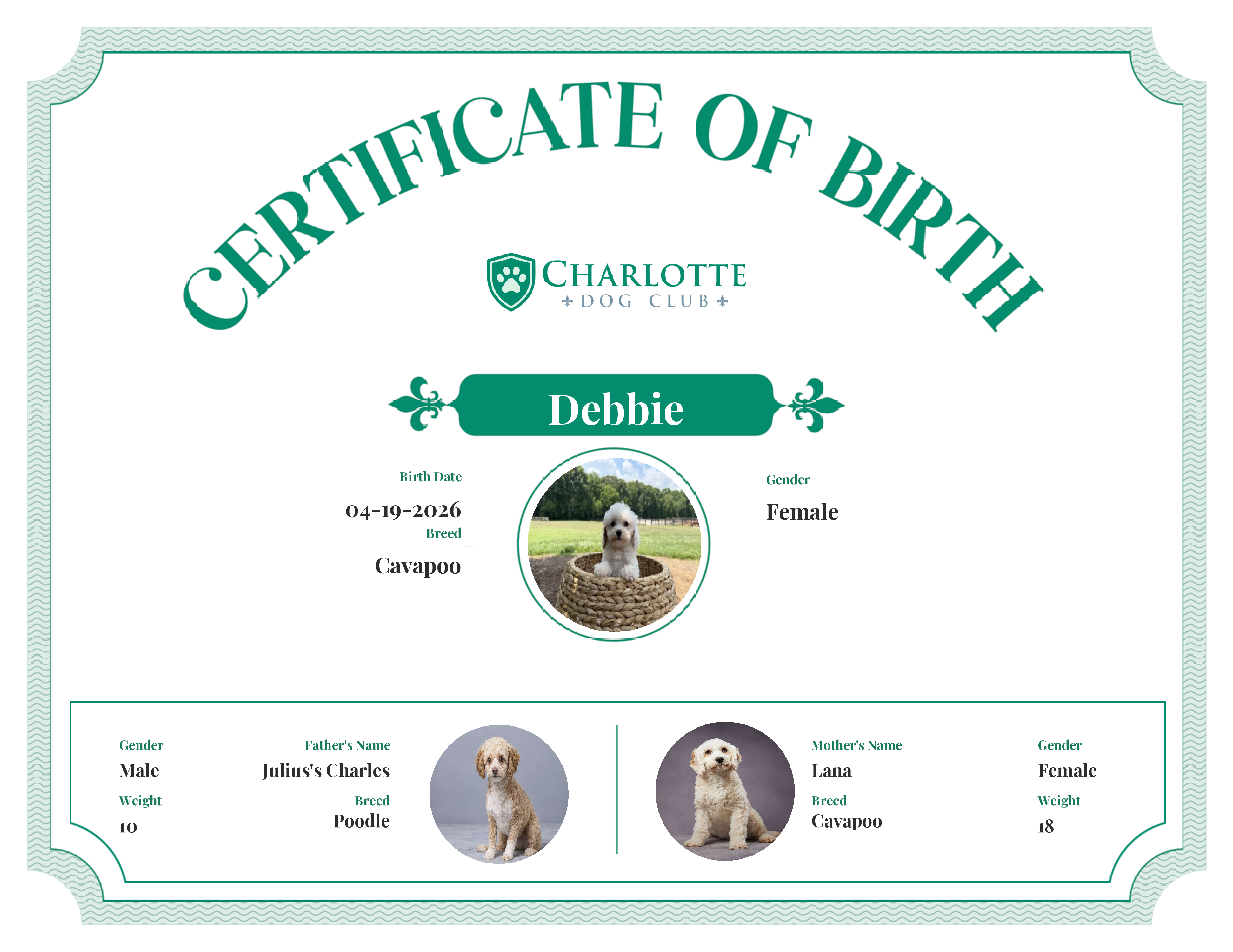 Debbie's Birth Certificate