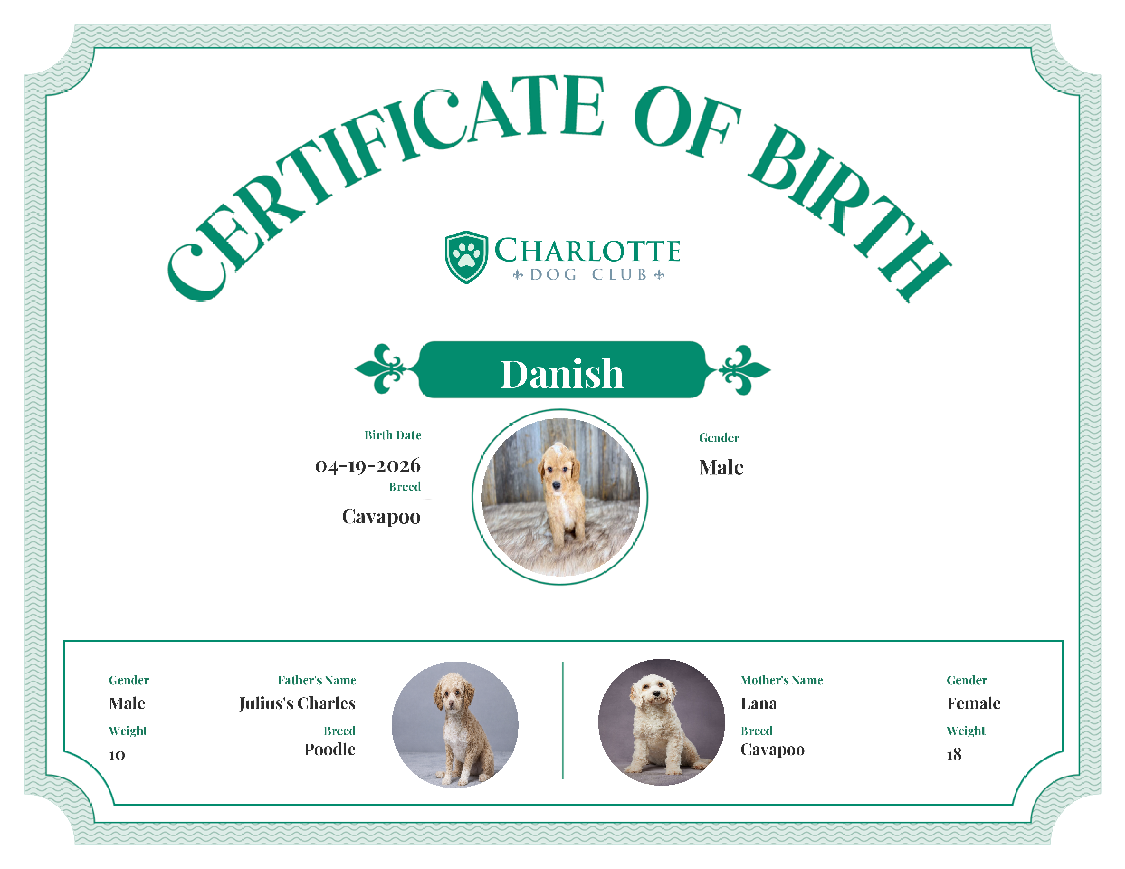 Danish's Birth Certificate