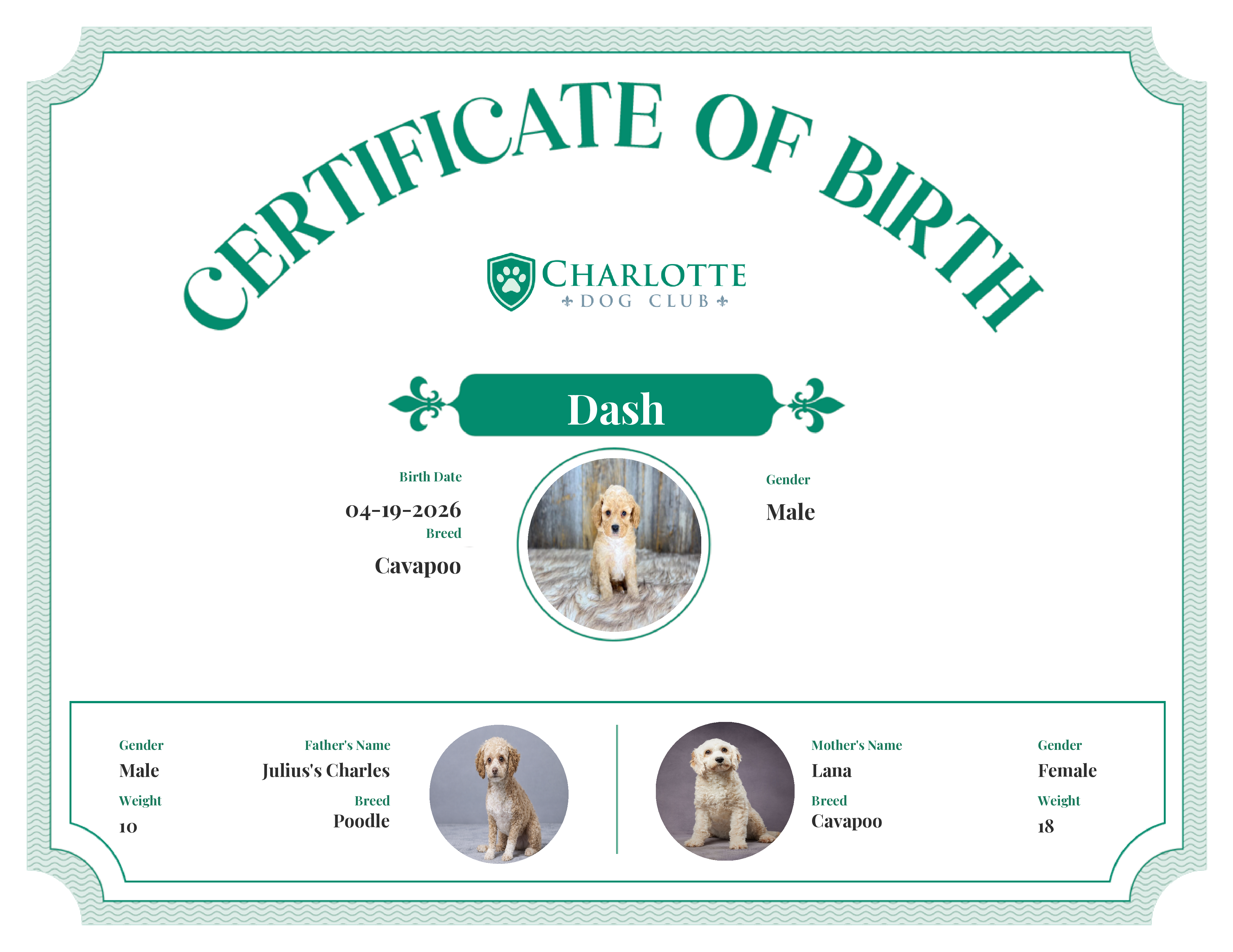 Dash's Birth Certificate