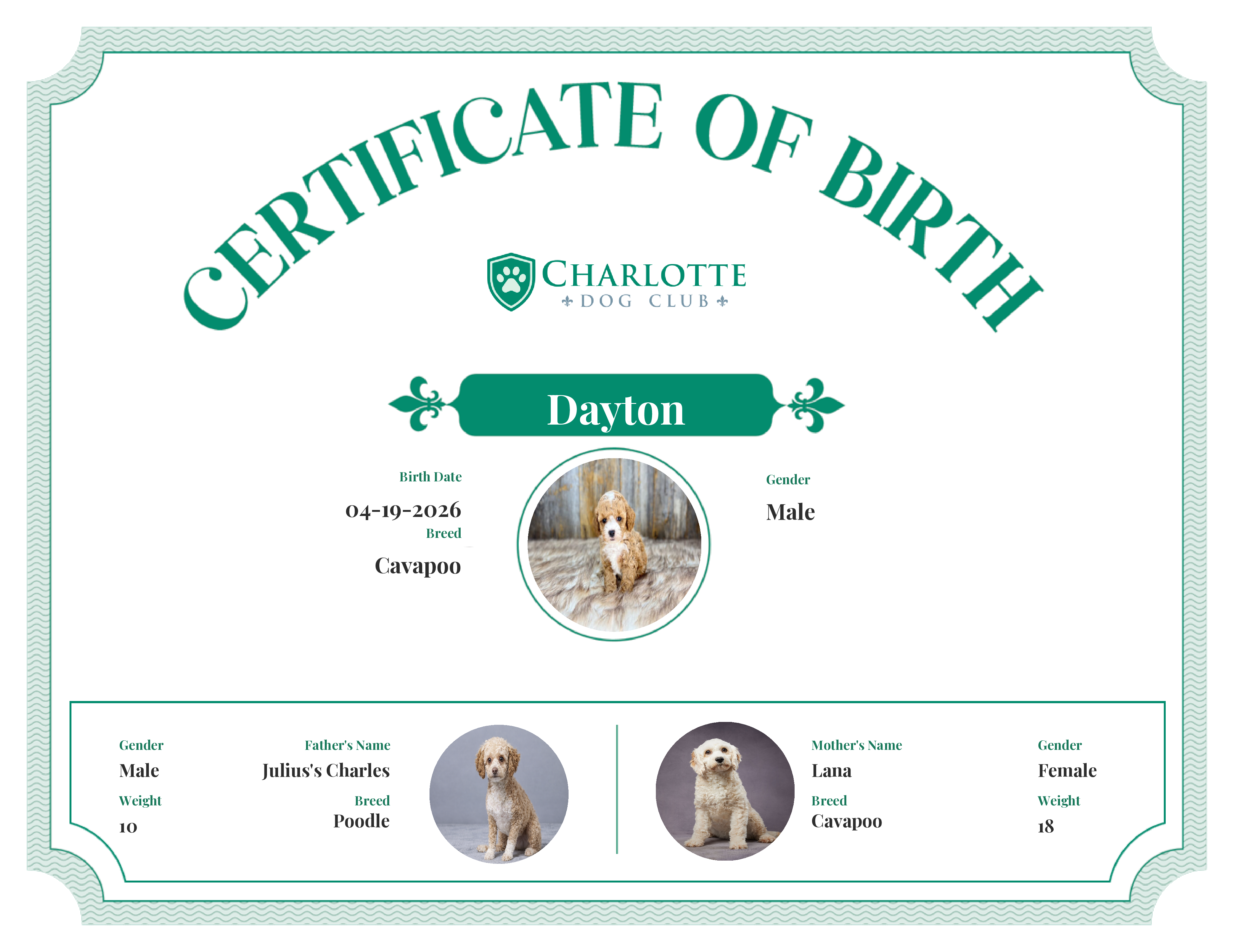 Dayton's Birth Certificate