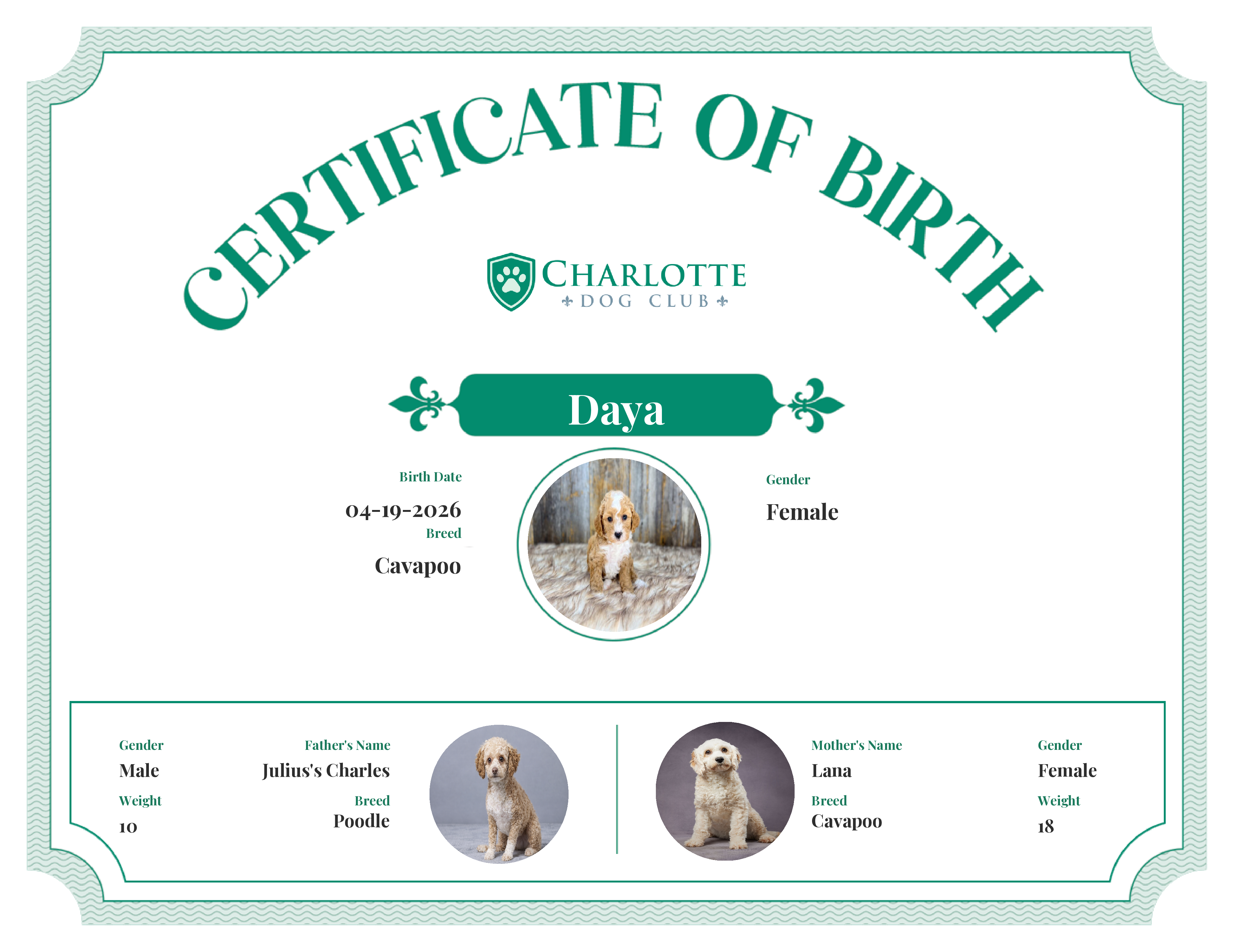 Daya's Birth Certificate