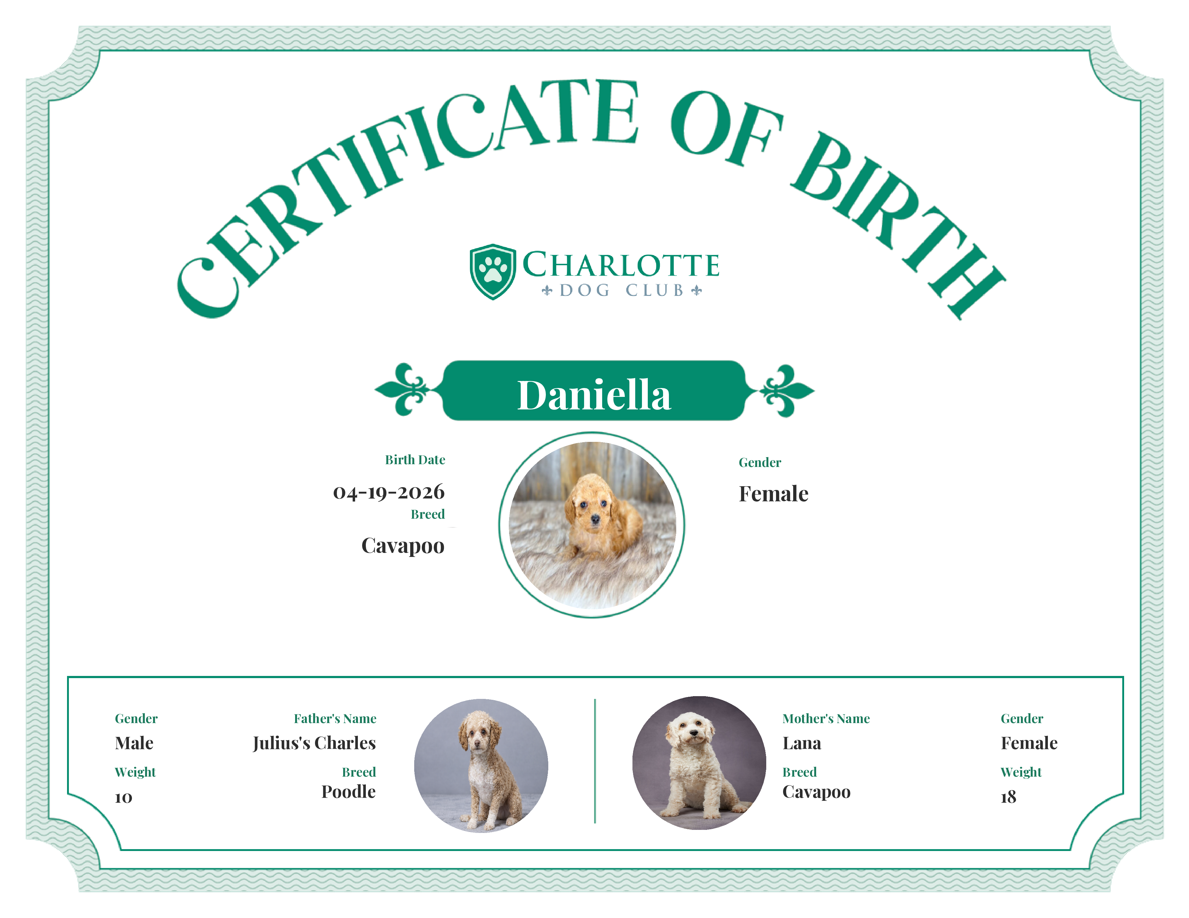 Daniella's Birth Certificate