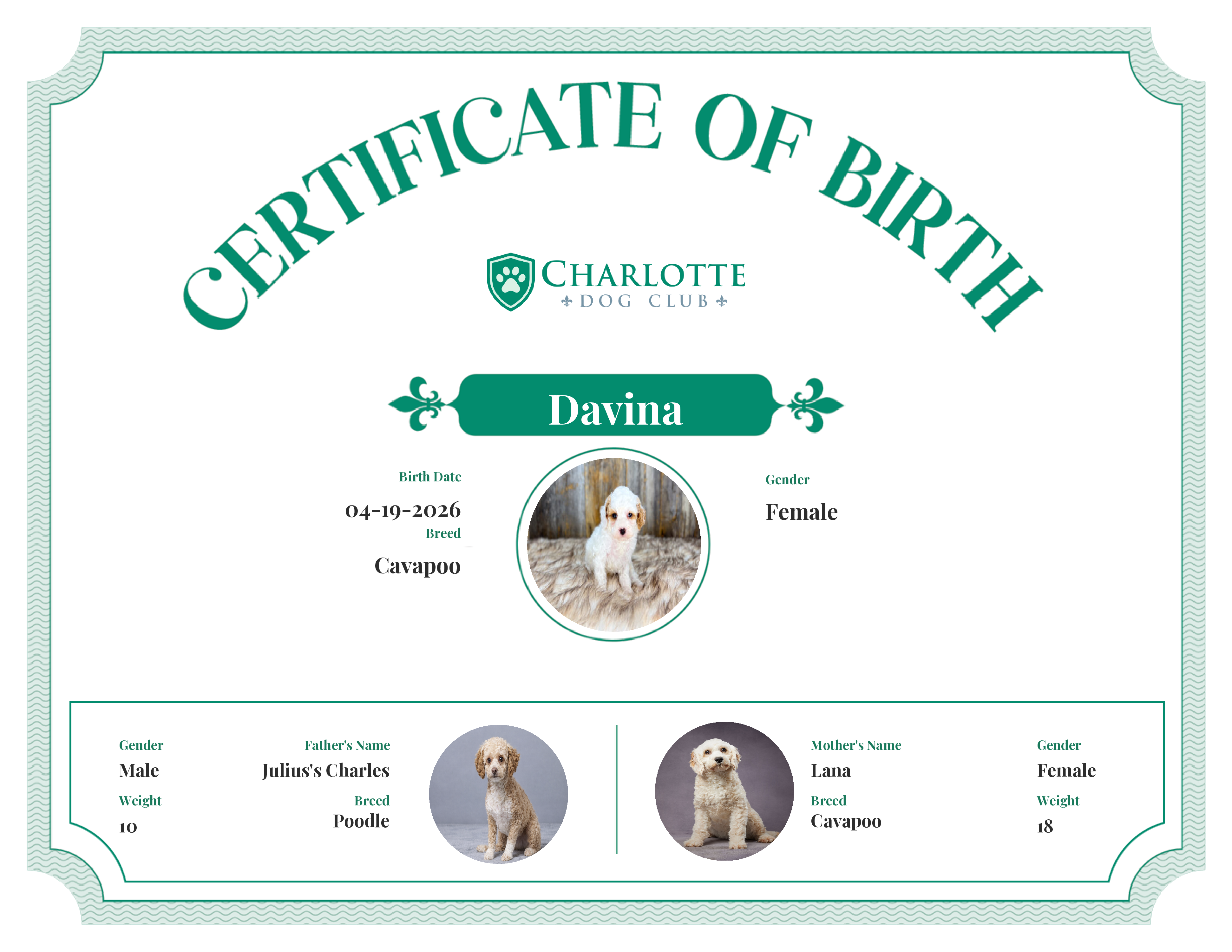Davina's Birth Certificate