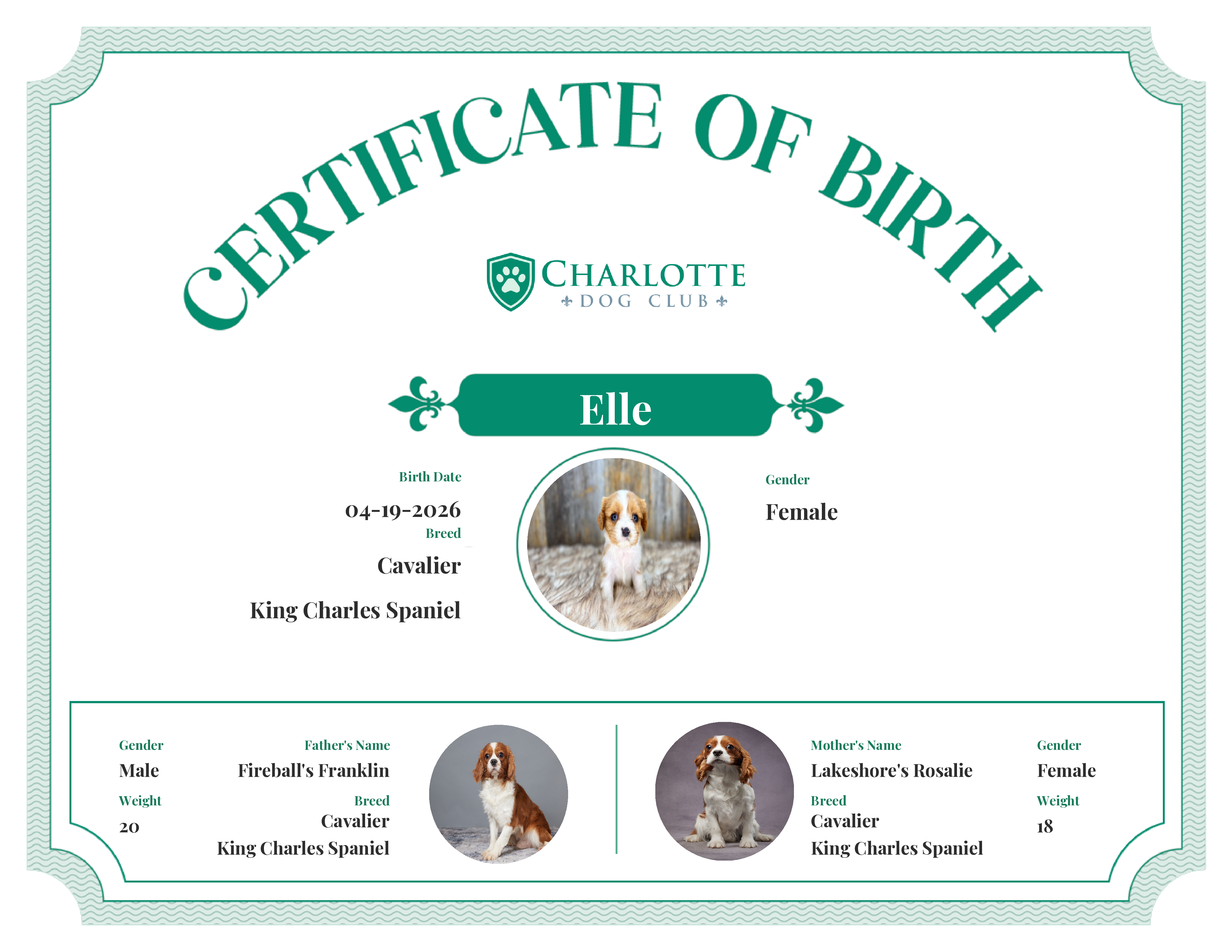 Elle's Birth Certificate