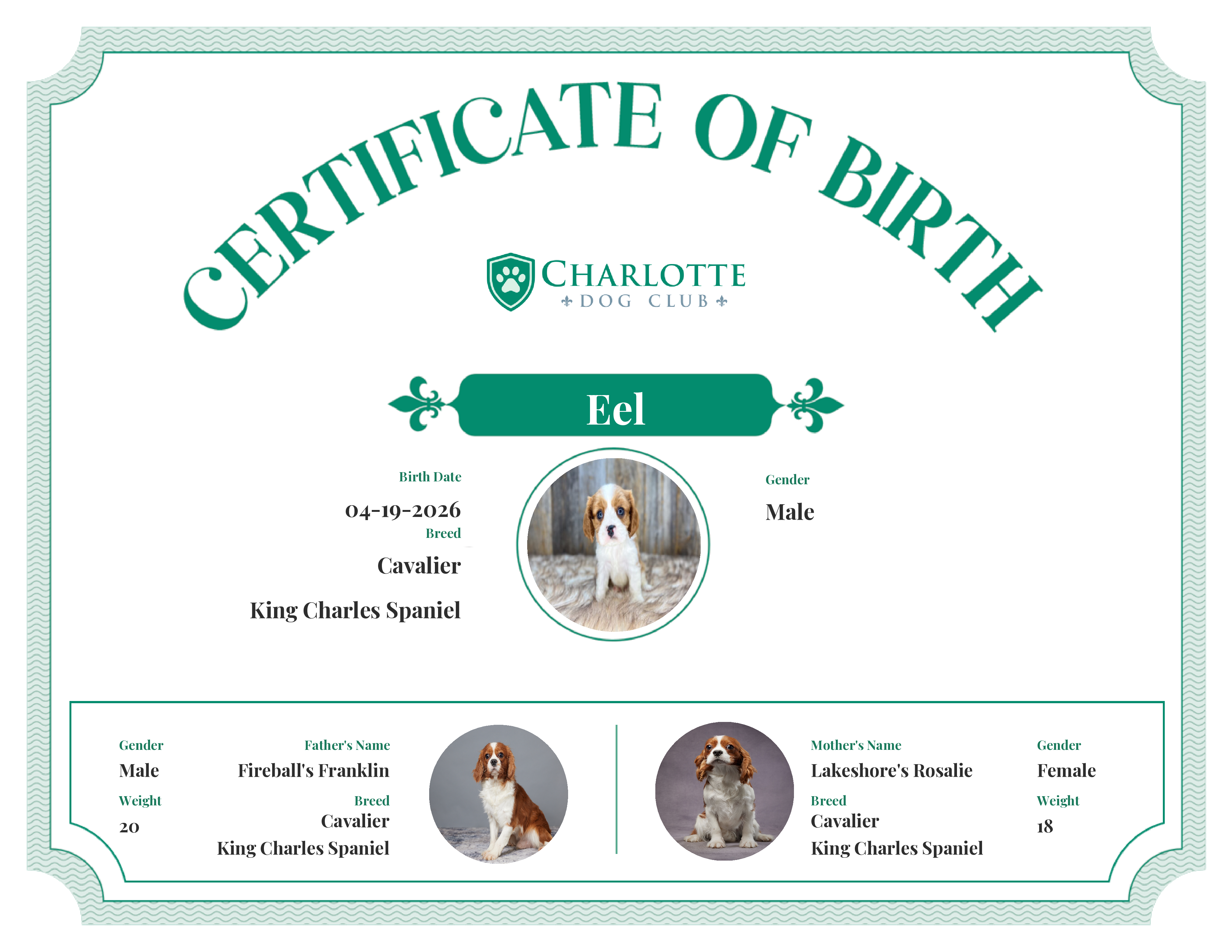 Eel's Birth Certificate