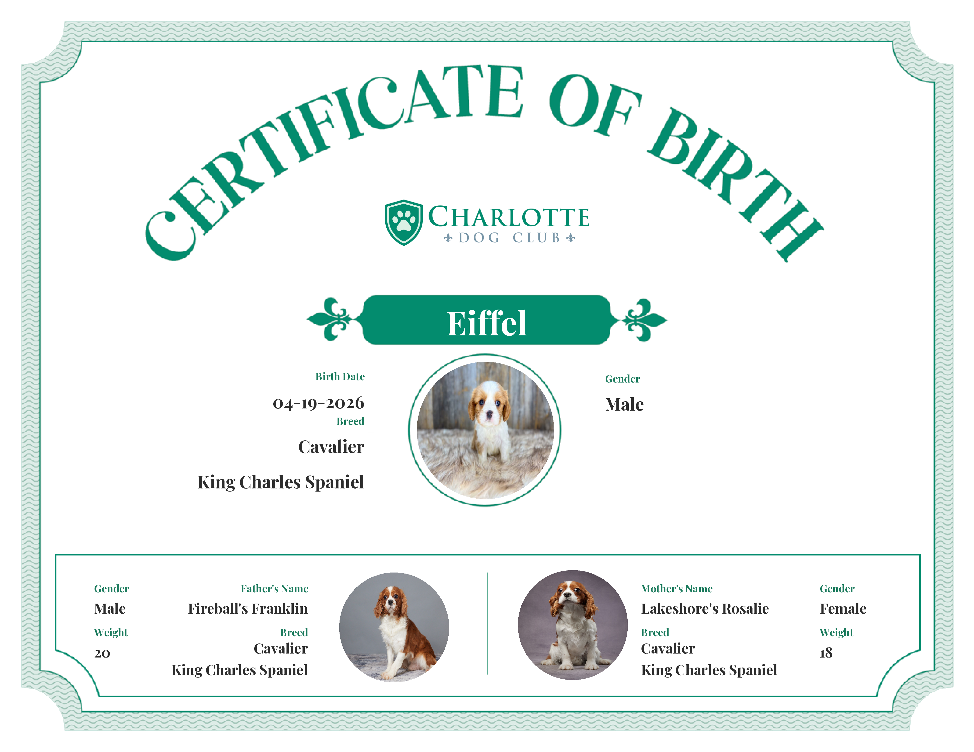 Eiffel's Birth Certificate