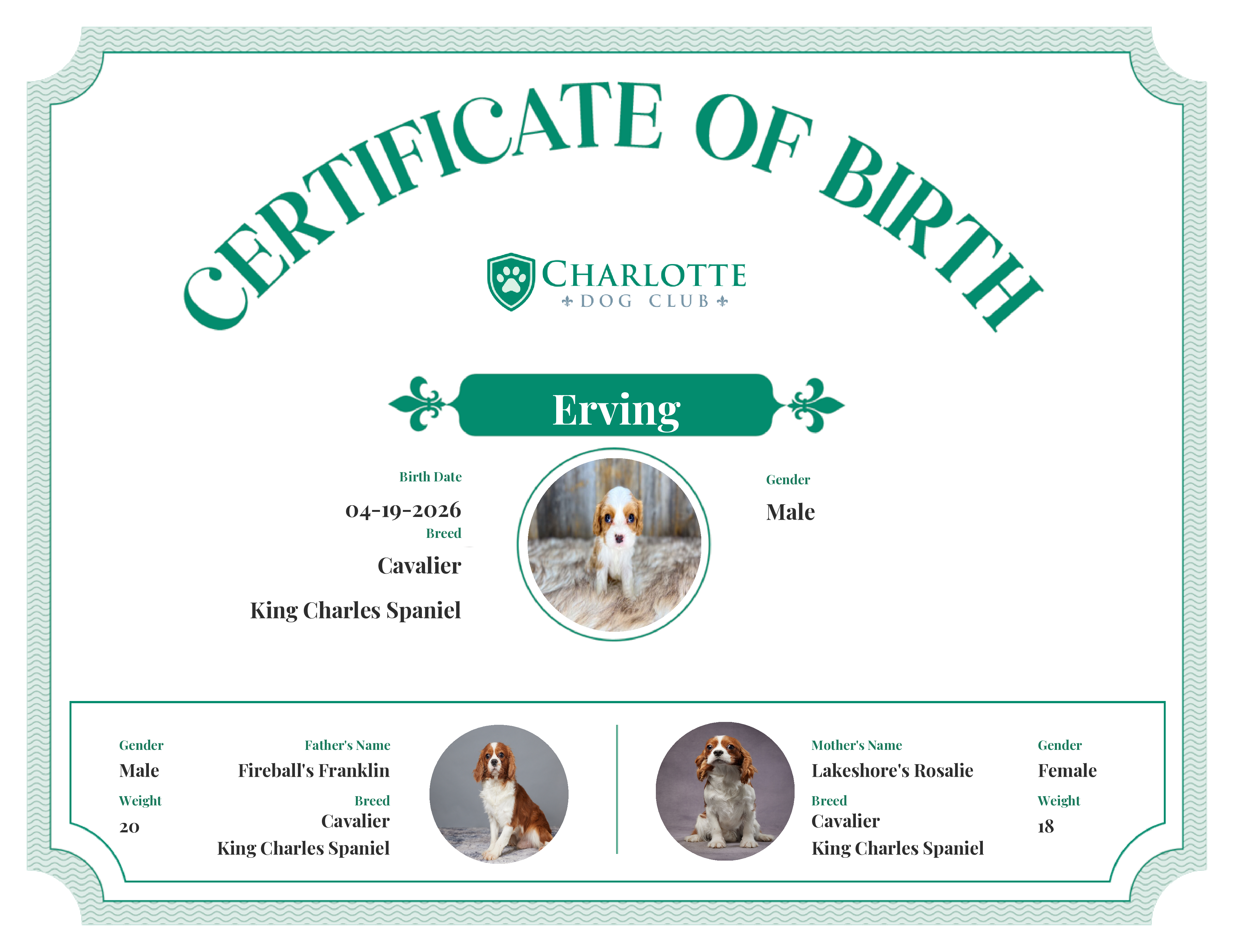Erving's Birth Certificate