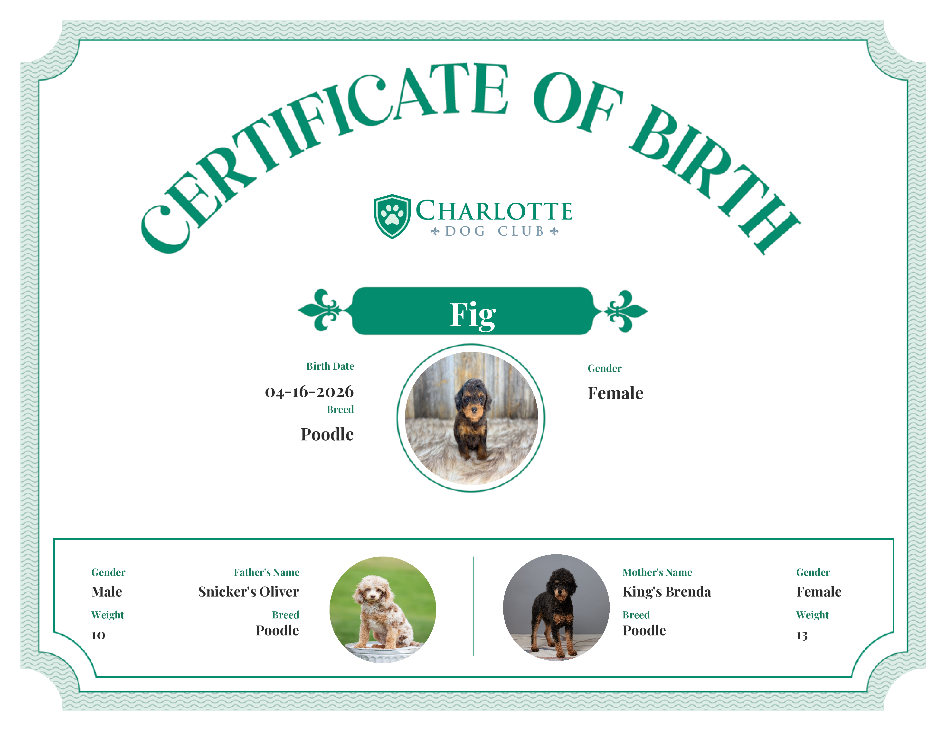 Fig's Birth Certificate