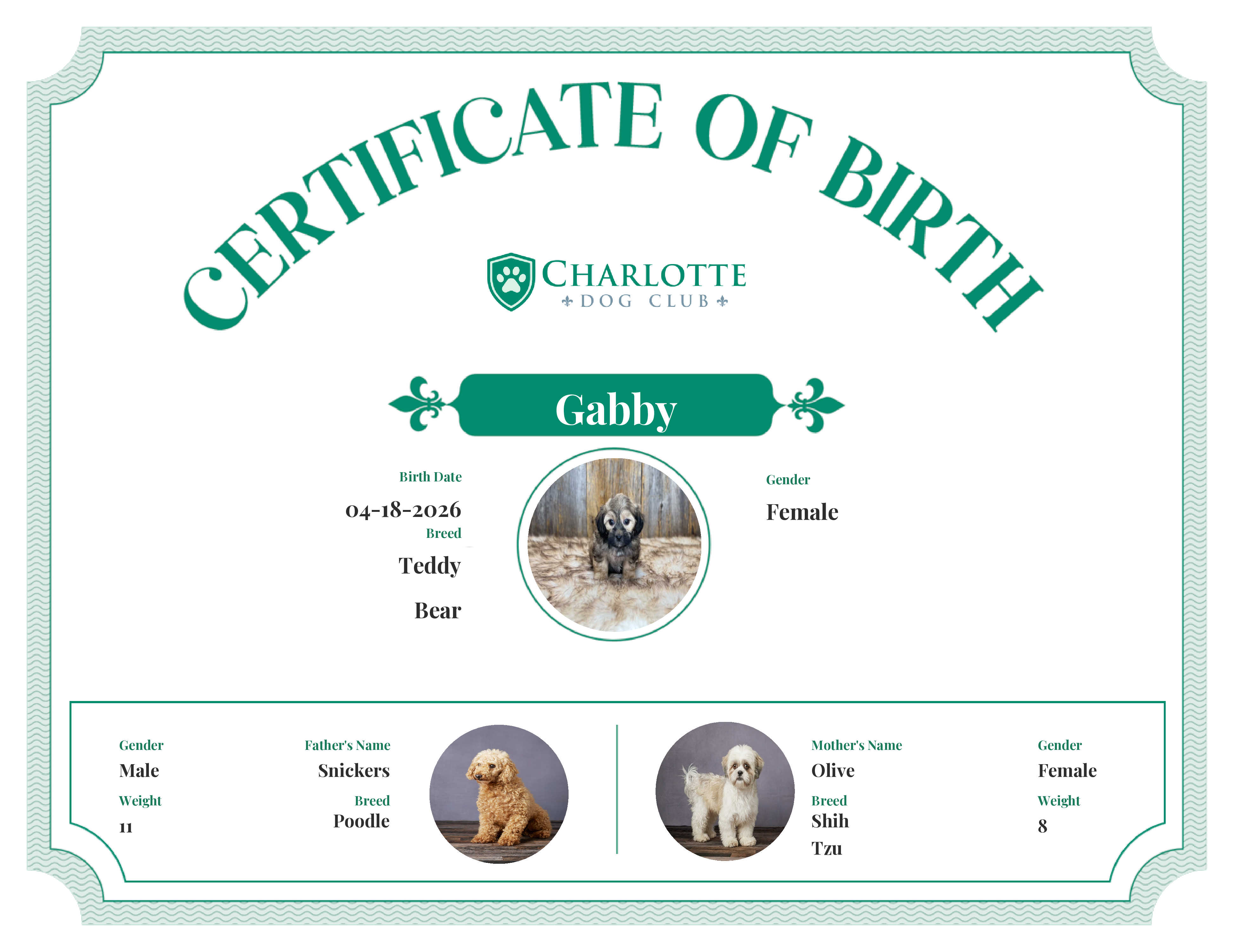 Gabby's Birth Certificate