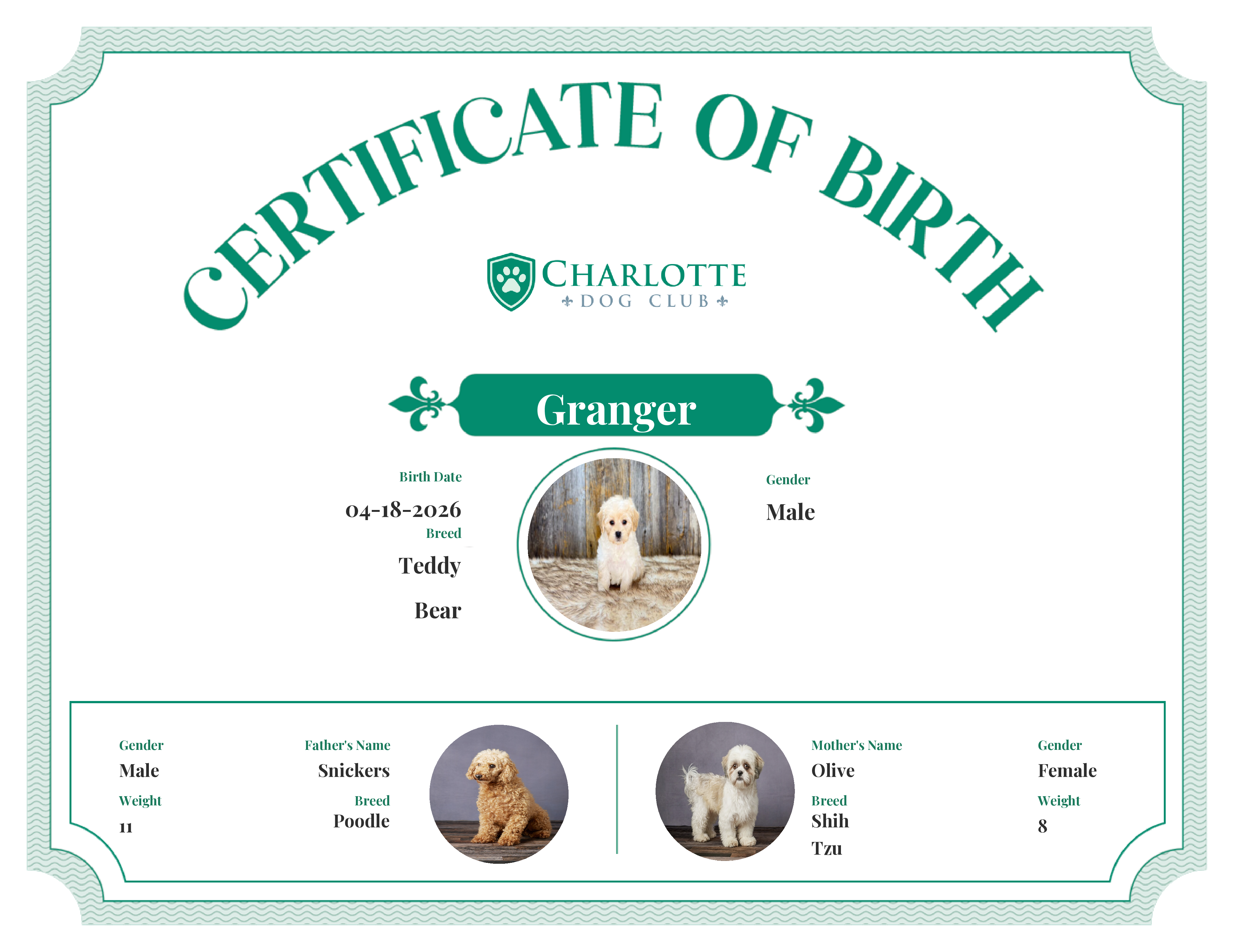 Granger's Birth Certificate
