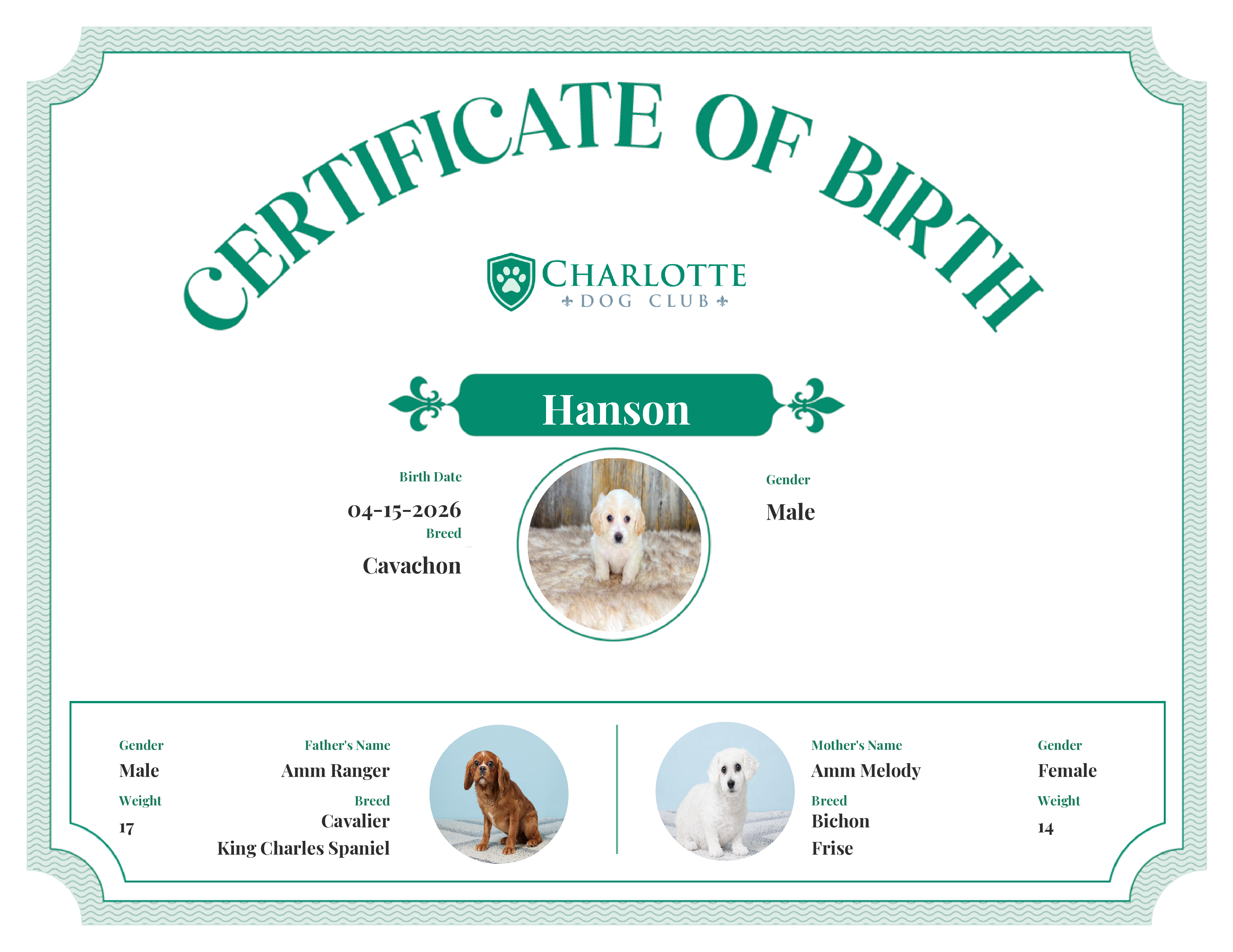 Hanson's Birth Certificate